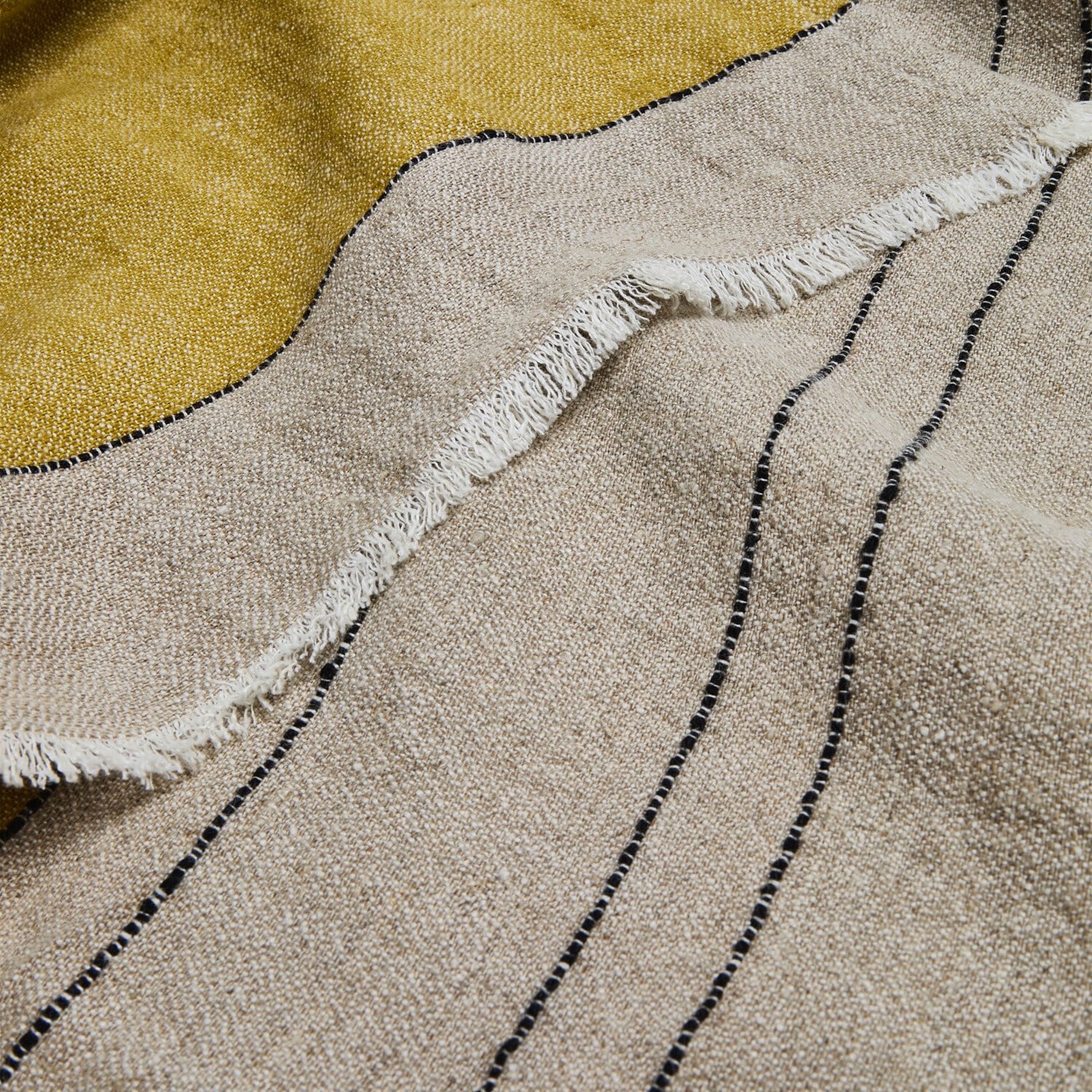 Coperta Brisalda