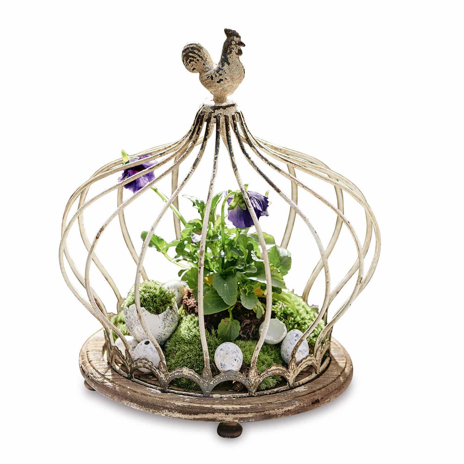 Portadecorazioni a cupola Ipas