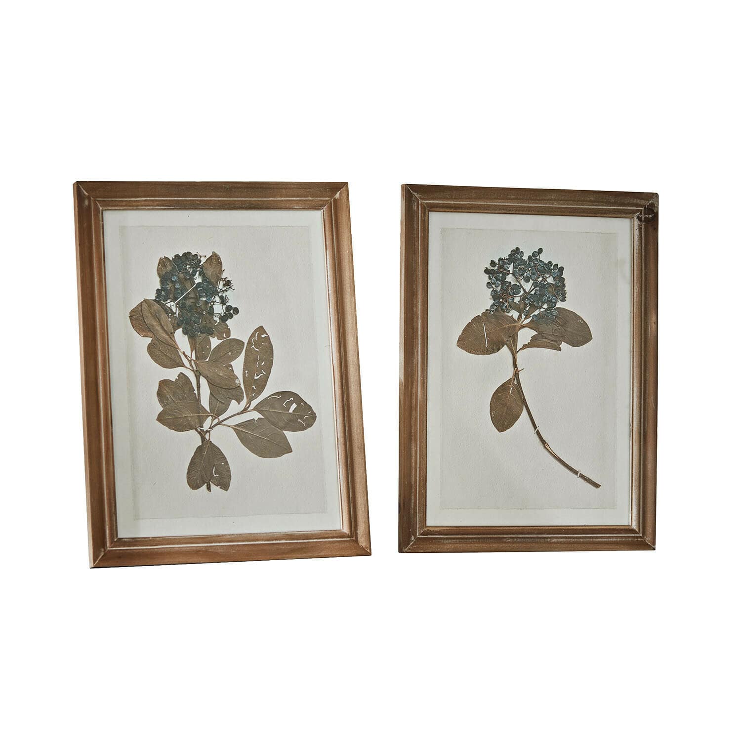 Set di 2 immagini Tanneau