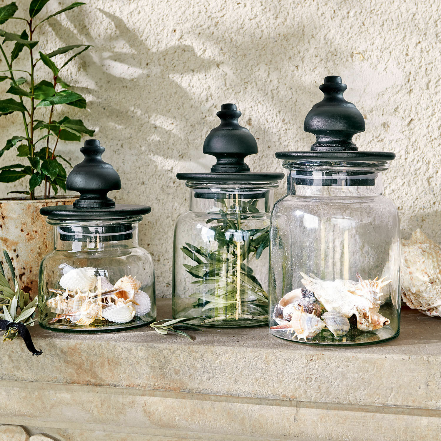 Set di 3 barattoli Hakeen Set di tre barattoli di vetro con coperchi neri, decorati con conchiglie e rami verdi