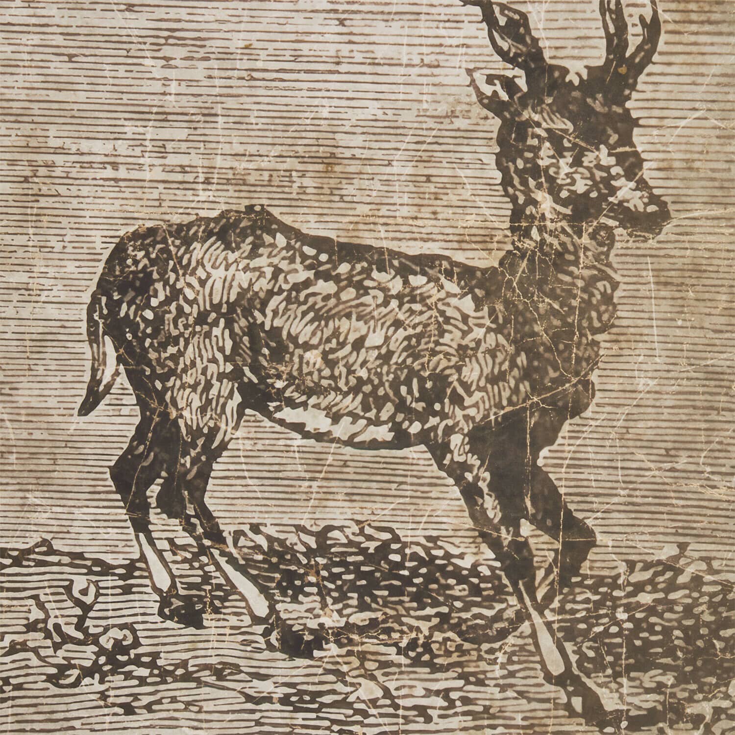 Carta da parati Chelun
