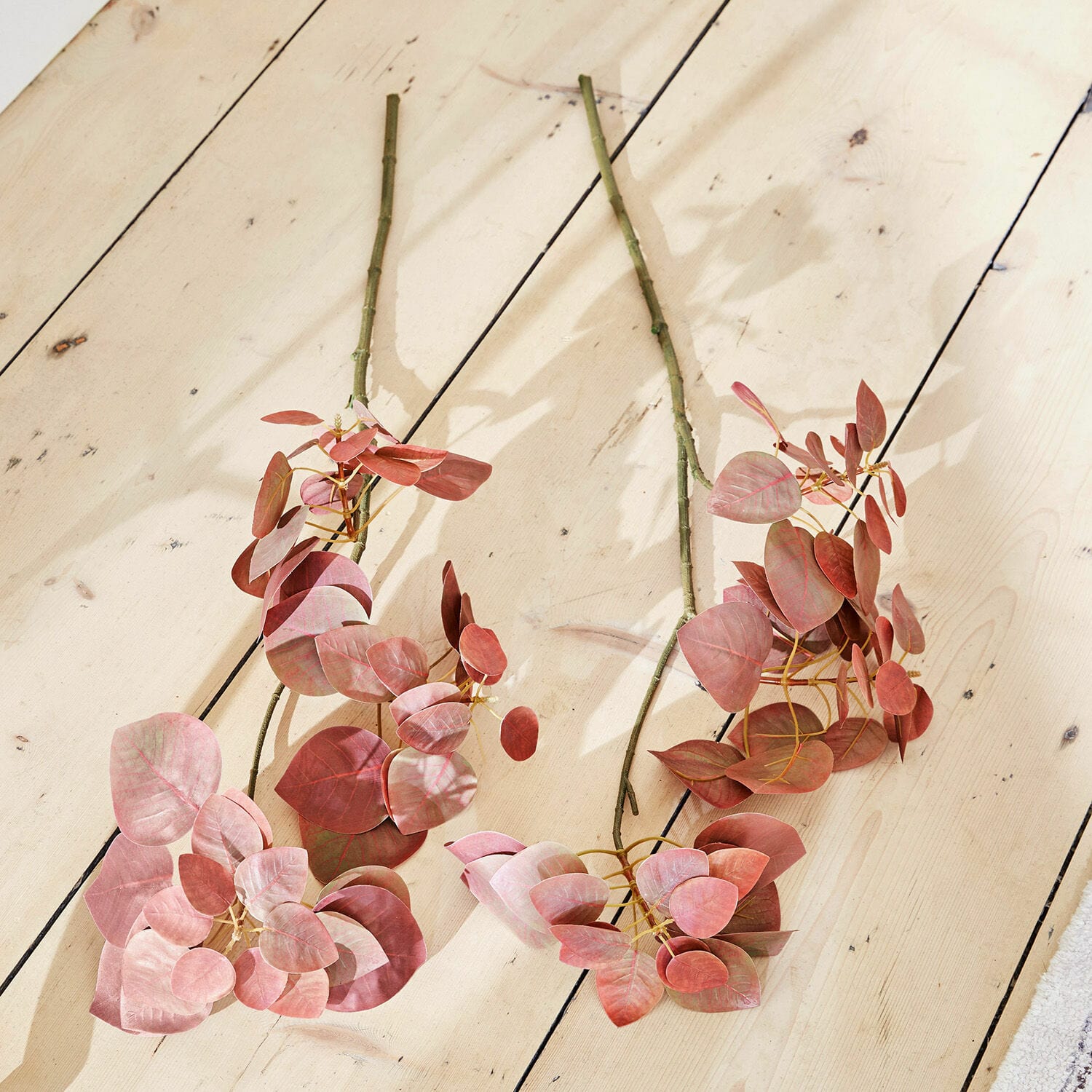 Ramo decorativo Pinon