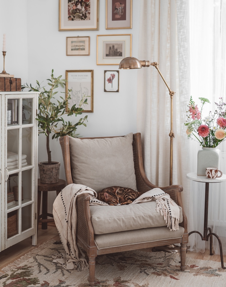 Poltrona beige accogliente con cuscino e coperta, gatto che dorme, ambiente luminoso con lampada e fiori