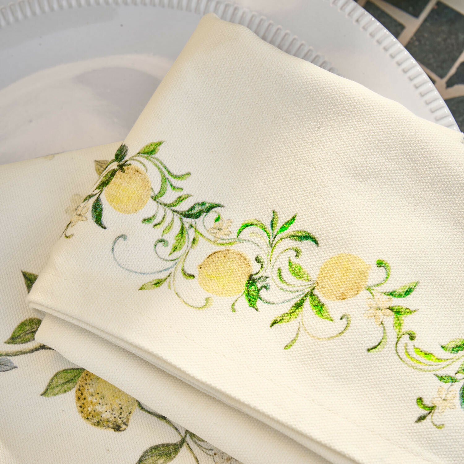 Coppia di canovacci Solianne