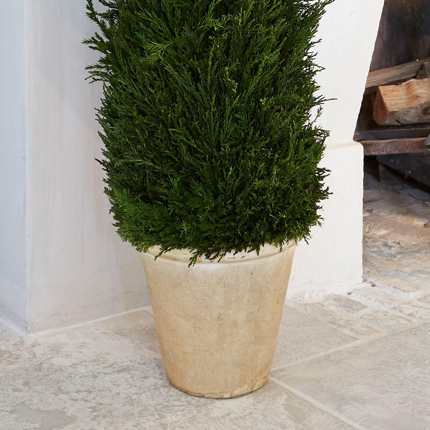 Pianta in vaso decorativa Arras