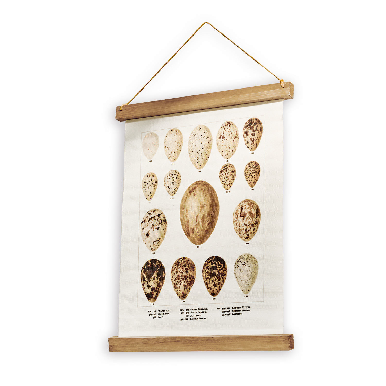 Stampa Taibor Poster vintage su tela con illustrazioni di uova di uccelli, appeso con cornice in legno naturale