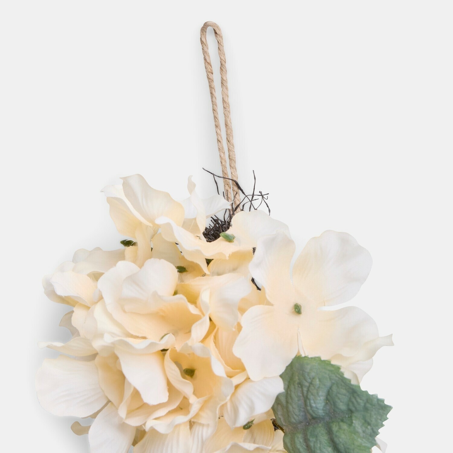 Festone Bellivonne