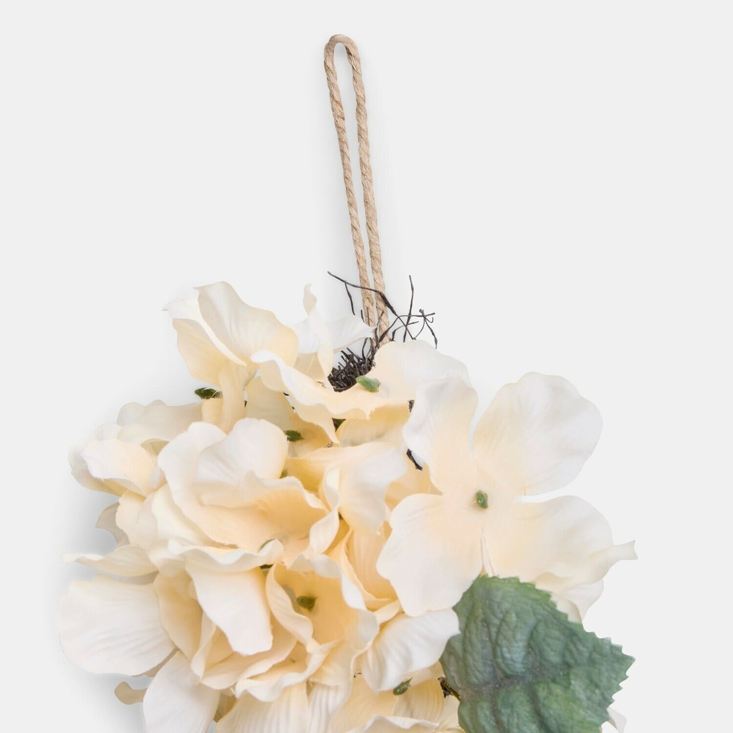 Festone Bellivonne