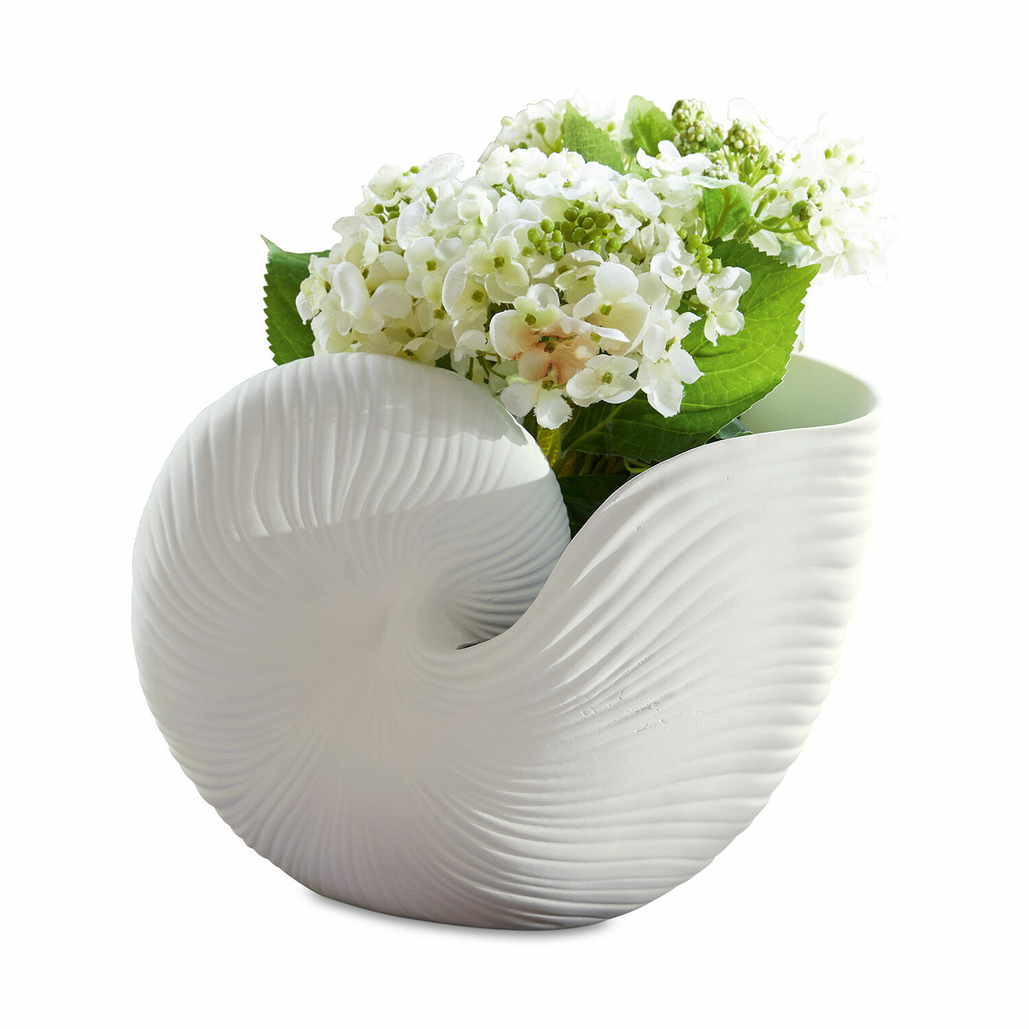 Portavaso Manteur Vaso in ceramica bianca a forma di conchiglia con texture, decorato con fiori bianchi, design moderno