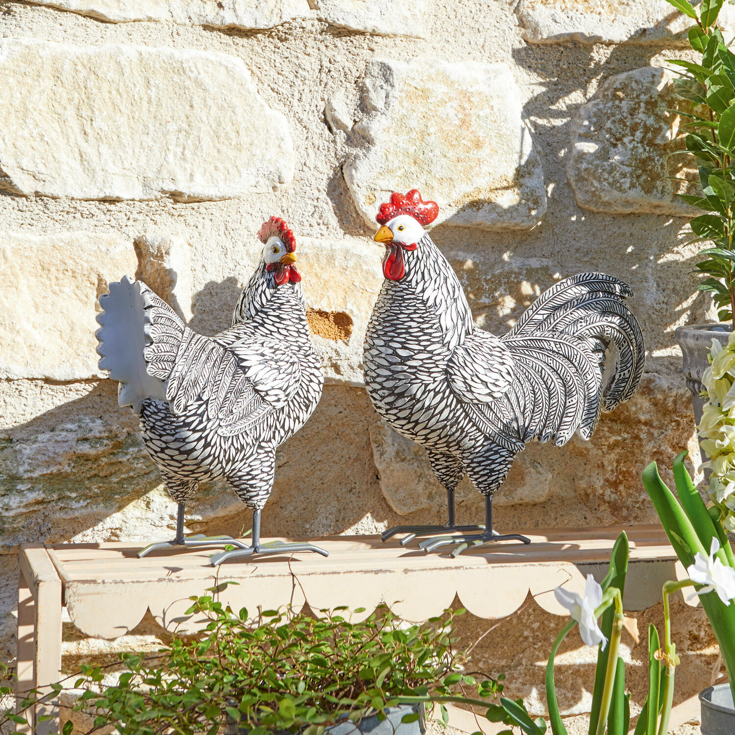 Coppia di galline decorative Mannis