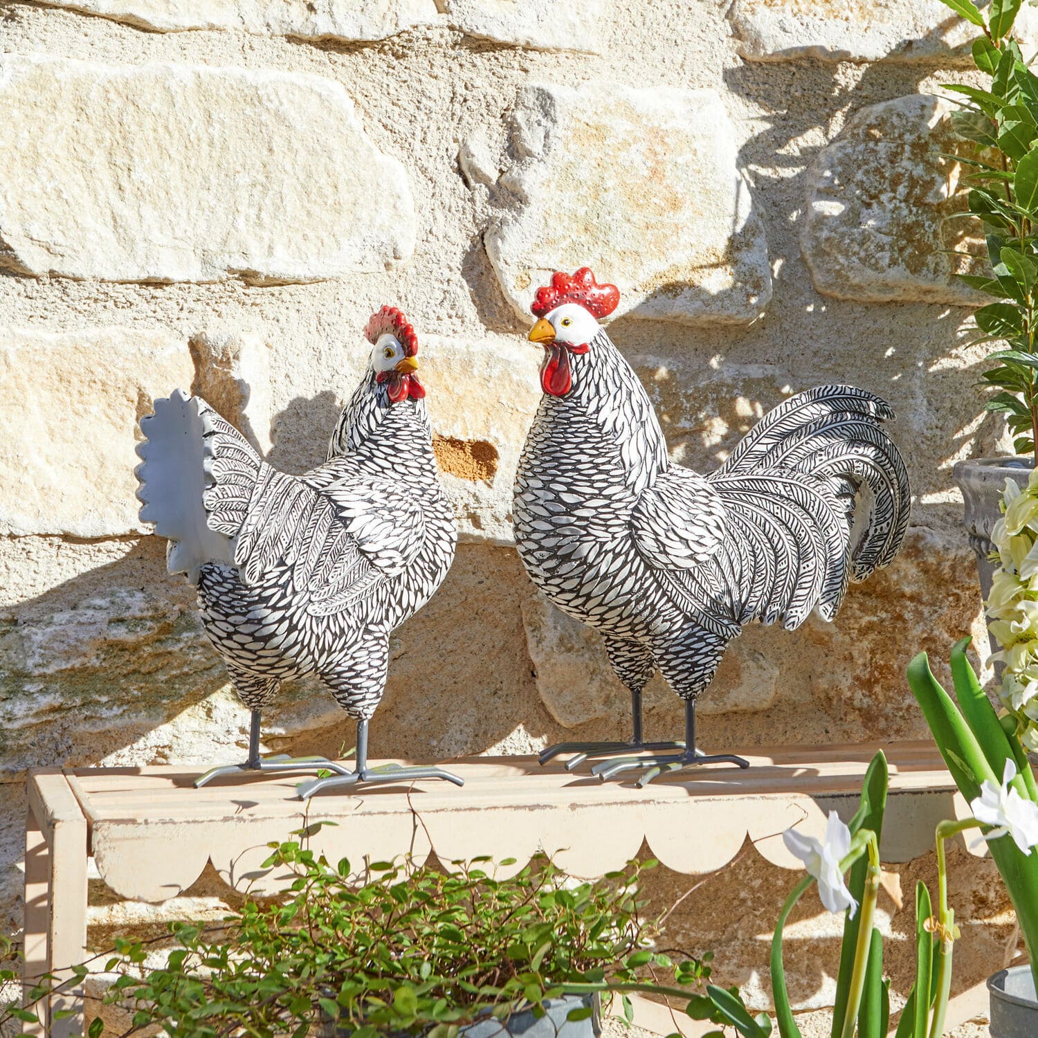 Coppia di galline decorative Mannis
