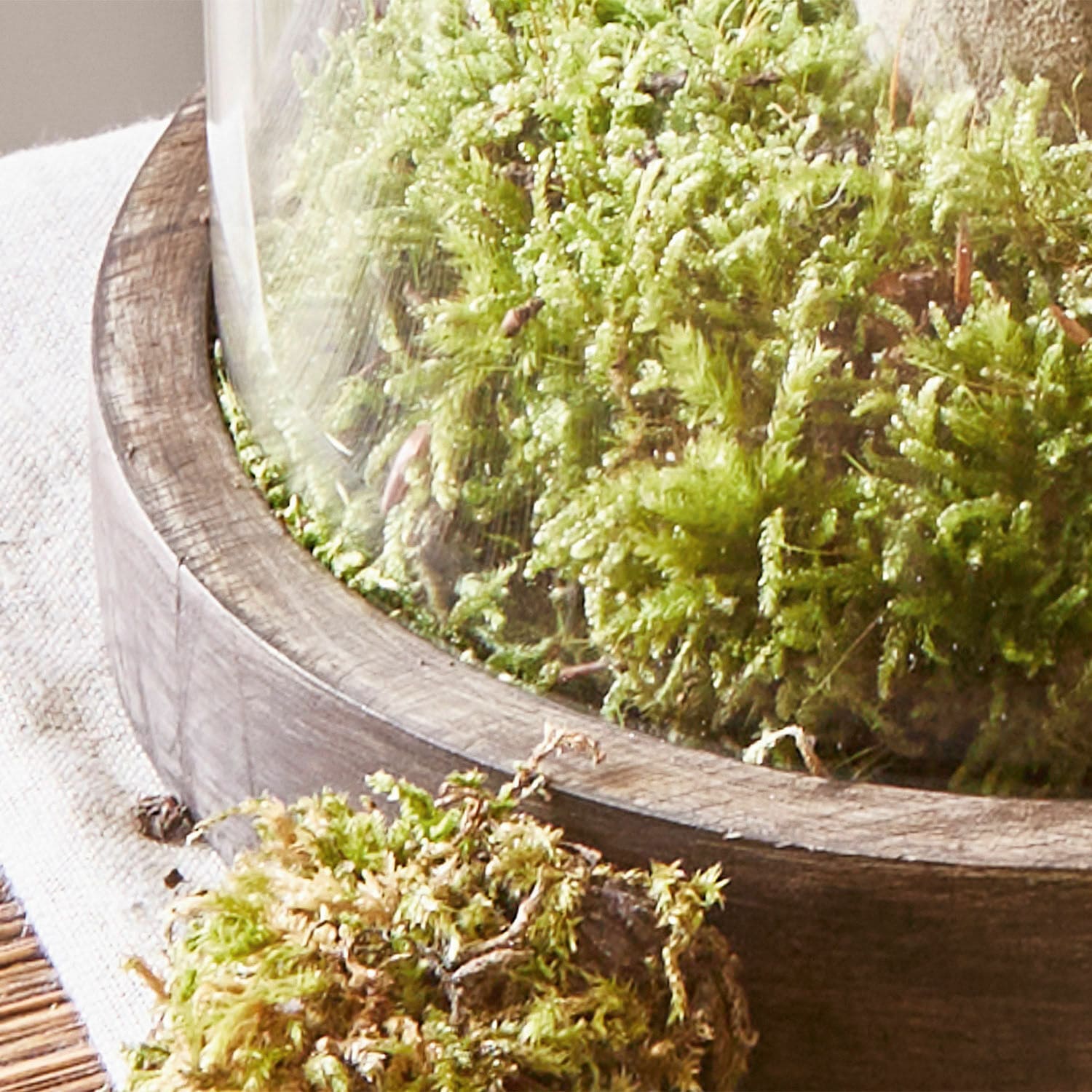 Coppia di campane di vetro Felicita