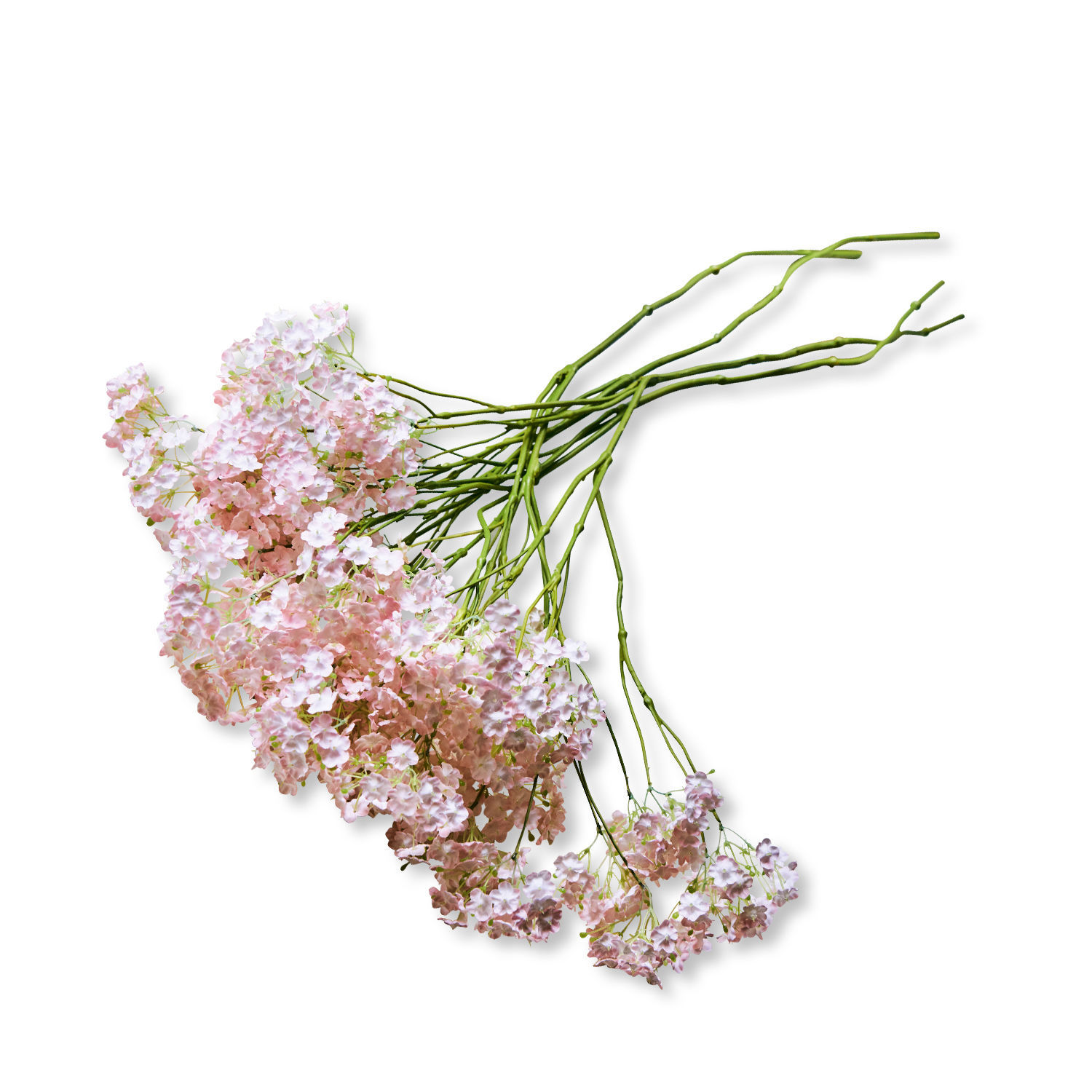 Set di 4 fiori decorativi Calanthe