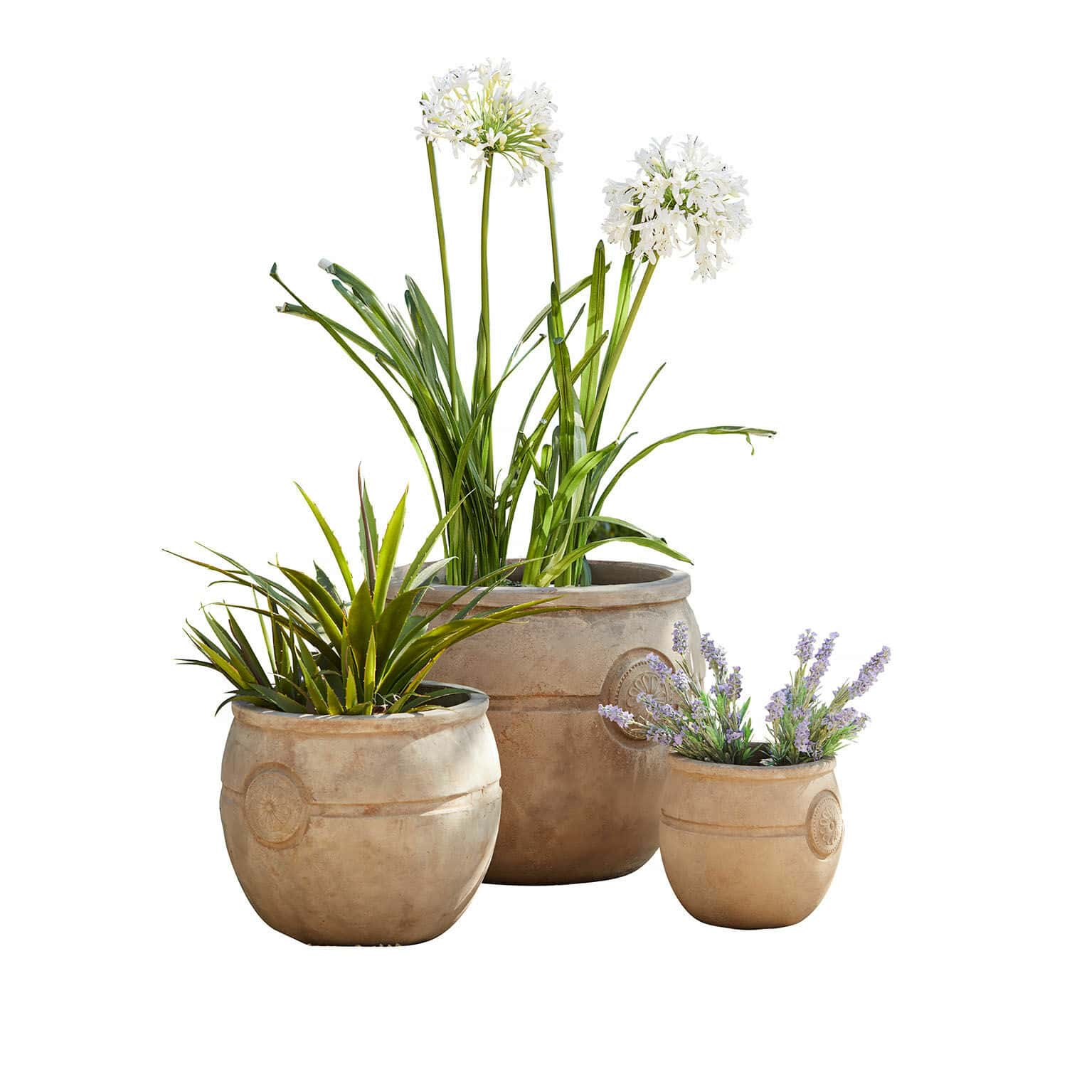 Set di 3 vasi Clorivon Set di tre vasi beige con piante decorative per giardino e interni