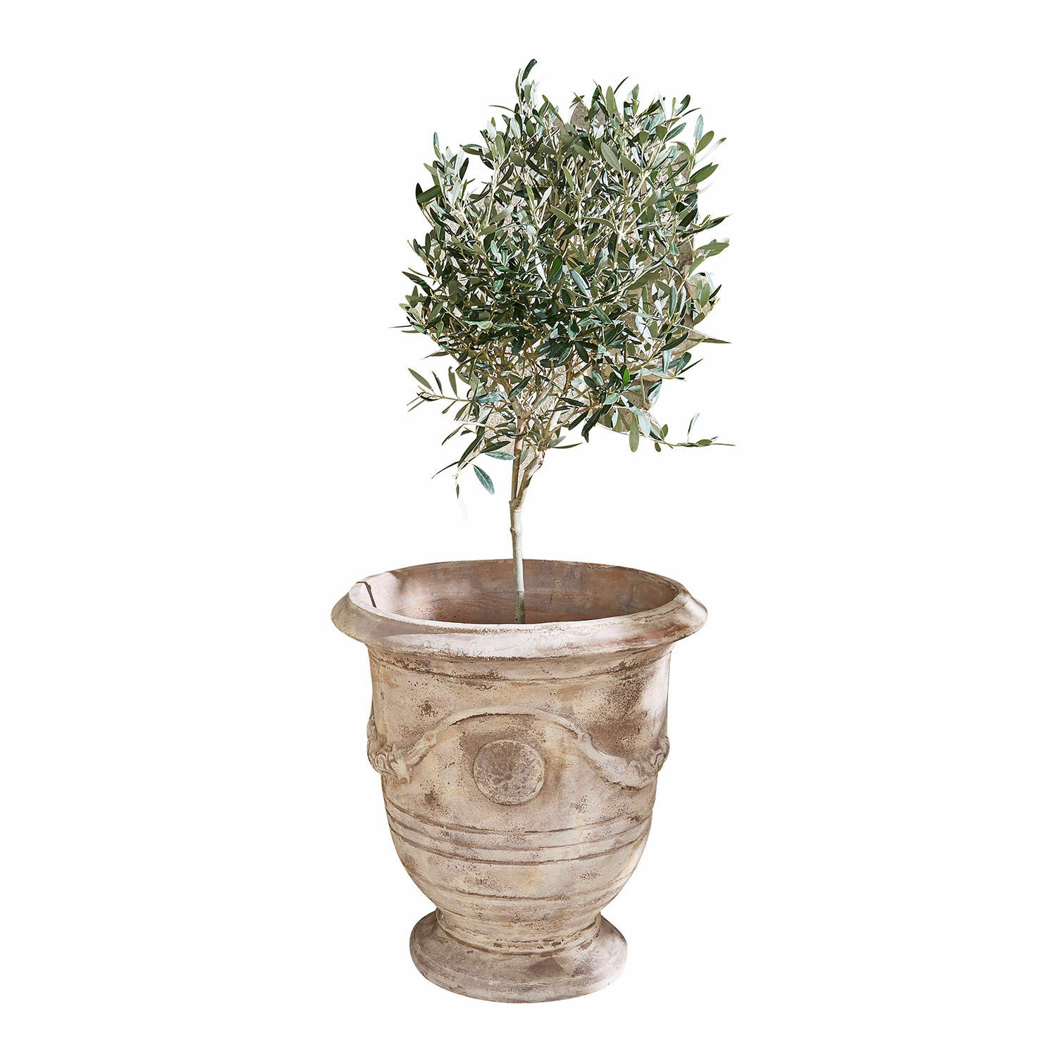 Portavaso Garwood Vaso in terracotta beige con pianta verde, ideale per decorazioni interne ed esterne