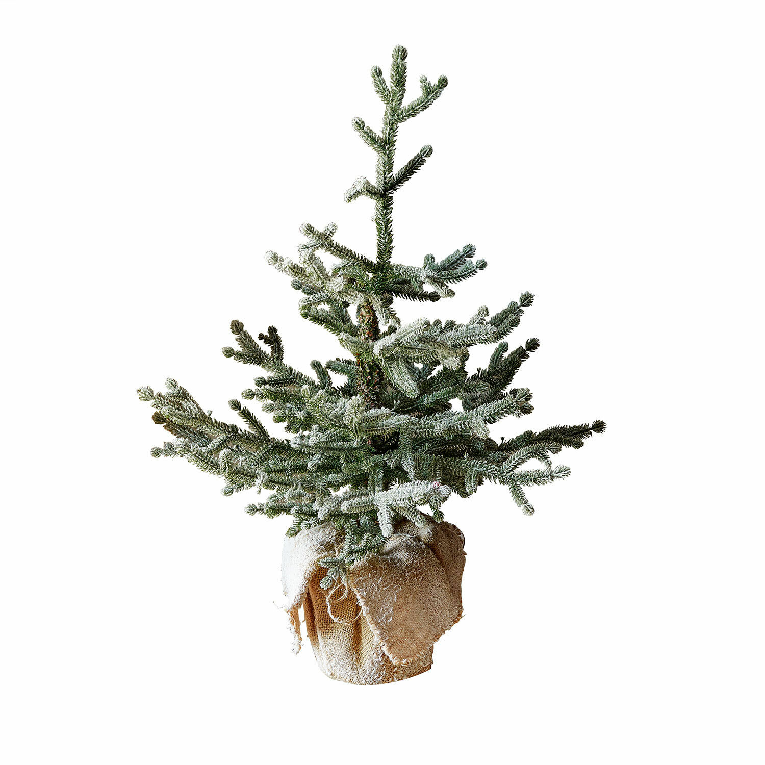 Albero decorativo Glenda