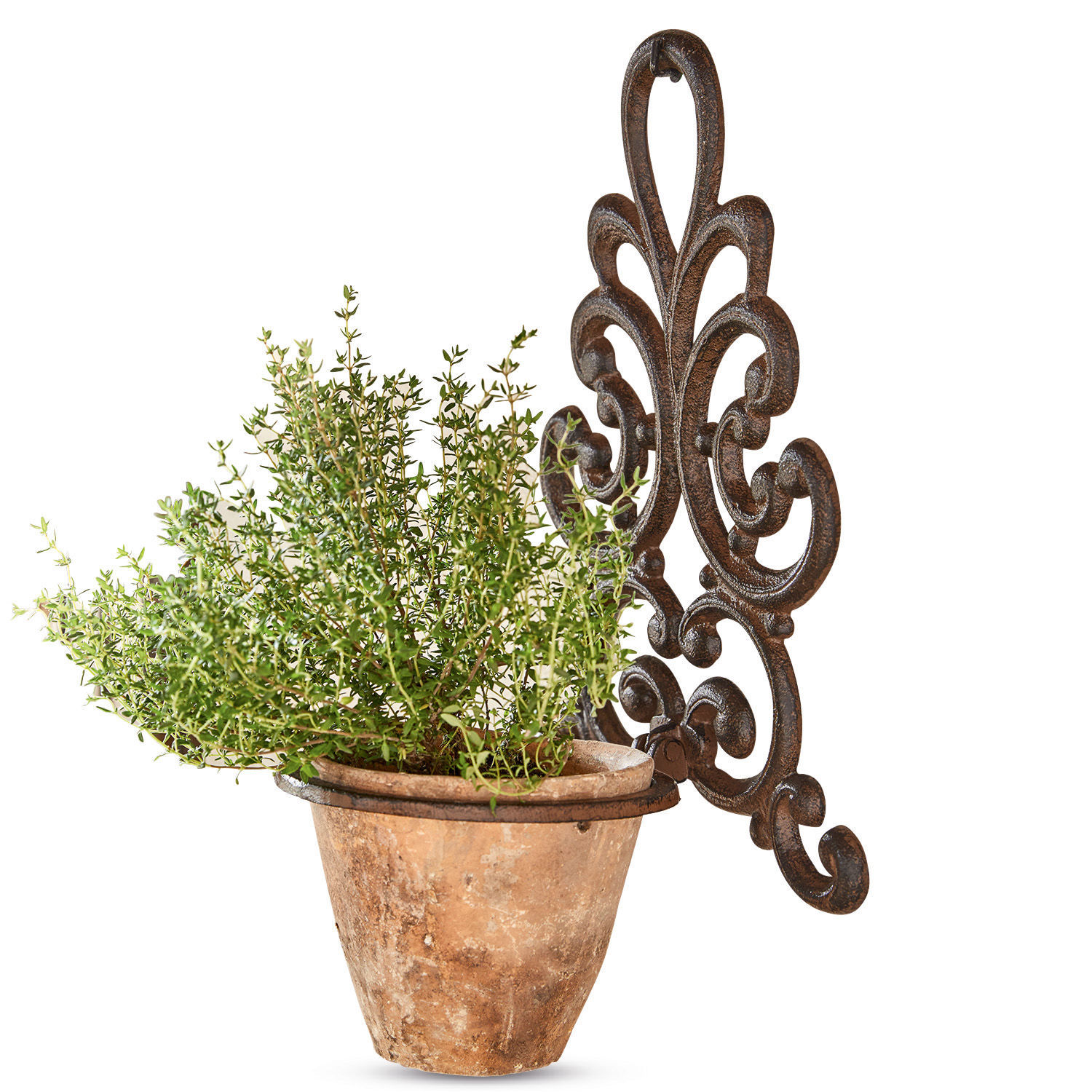 Supporto per vasi Cecile Vaso in terracotta con pianta verde su supporto da parete decorativo in metallo marrone