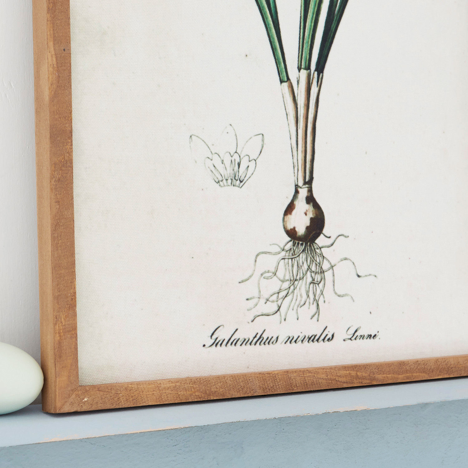Quadro Willmare