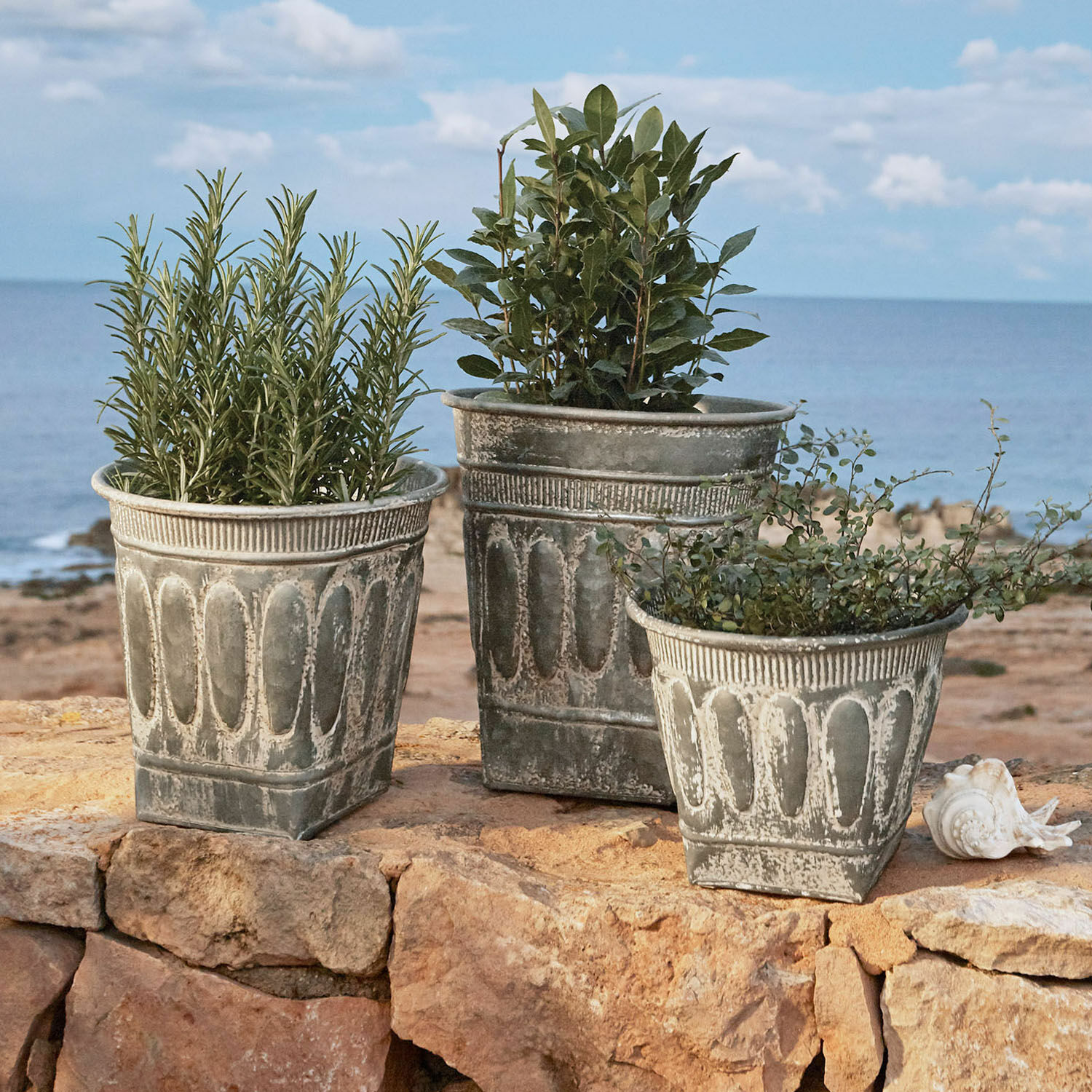 Set di 3 portavasi Bakersfield Set di tre vasi decorativi in metallo grigio con piante su rocce davanti al mare