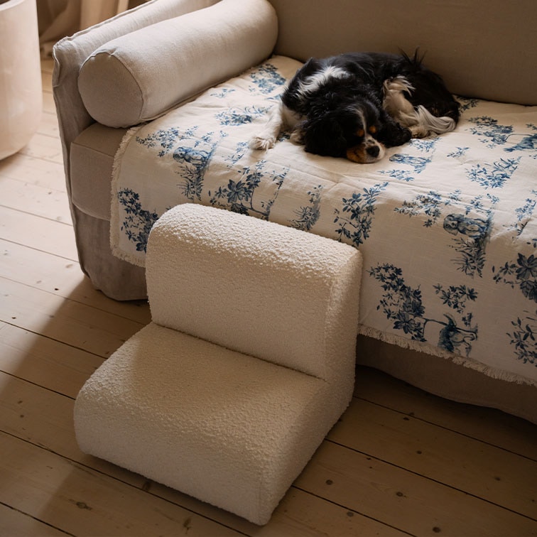 Piccolo divano in peluche bianco per cane su pavimento in legno accanto a divano con cane che dorme su coperta blu e bianca