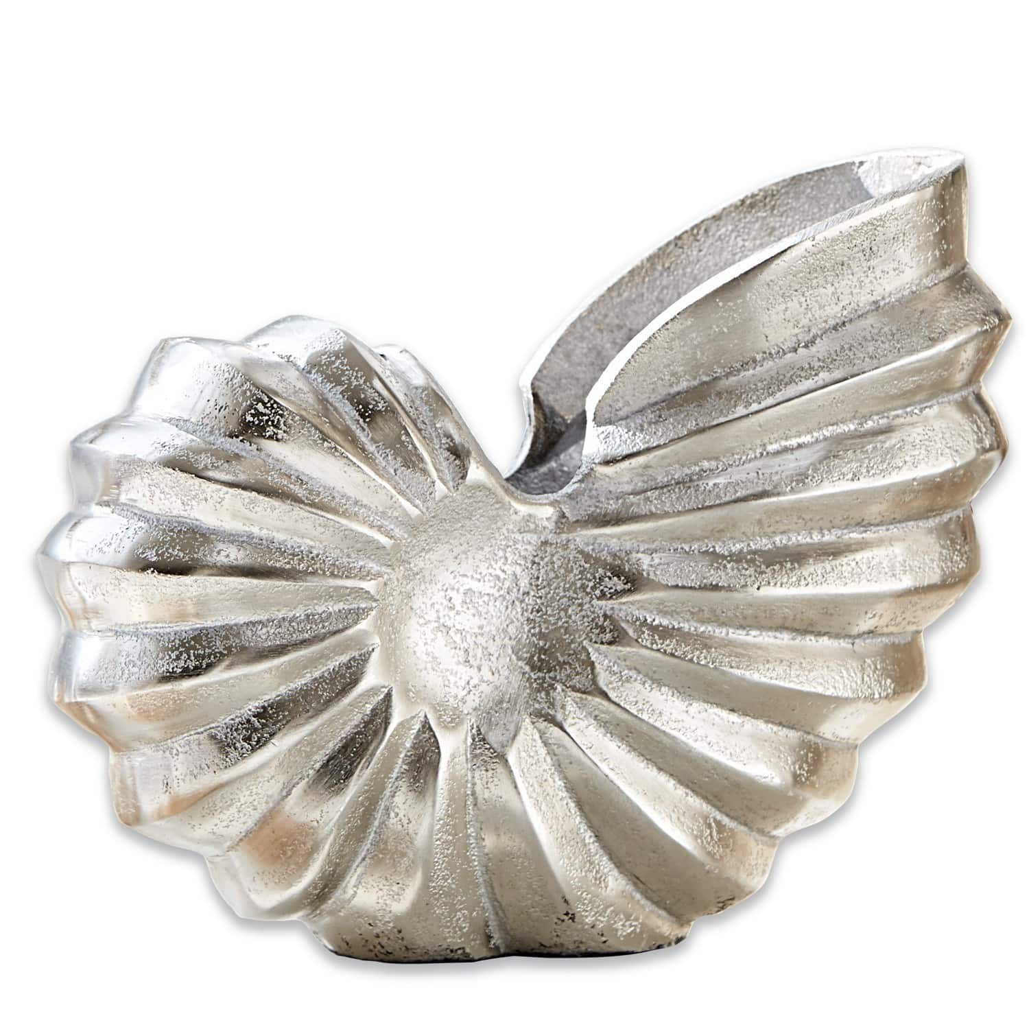 Ammonite decorativa Whirl
