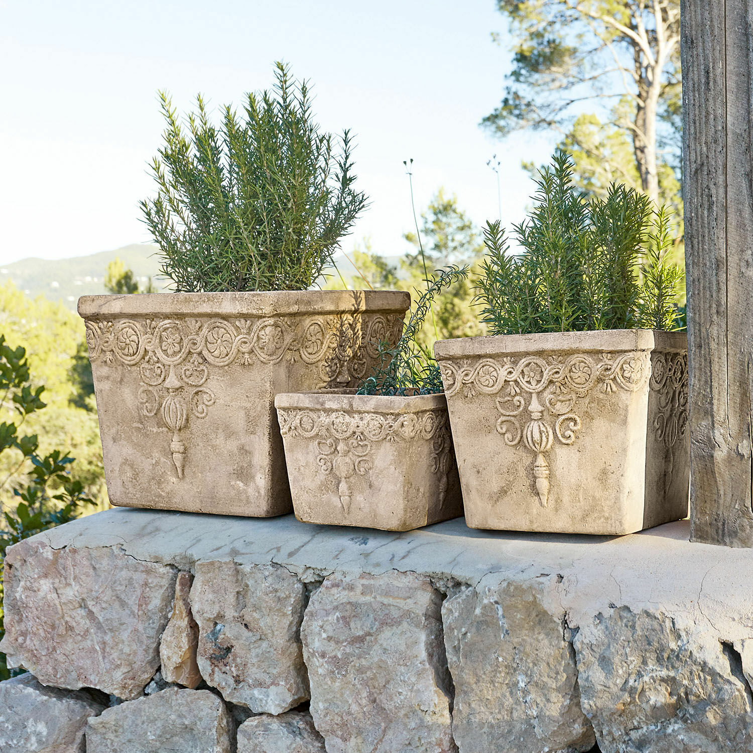 Set di 3 portavasi Bissone Set di tre vasi decorativi in pietra beige con piante per uso esterno
