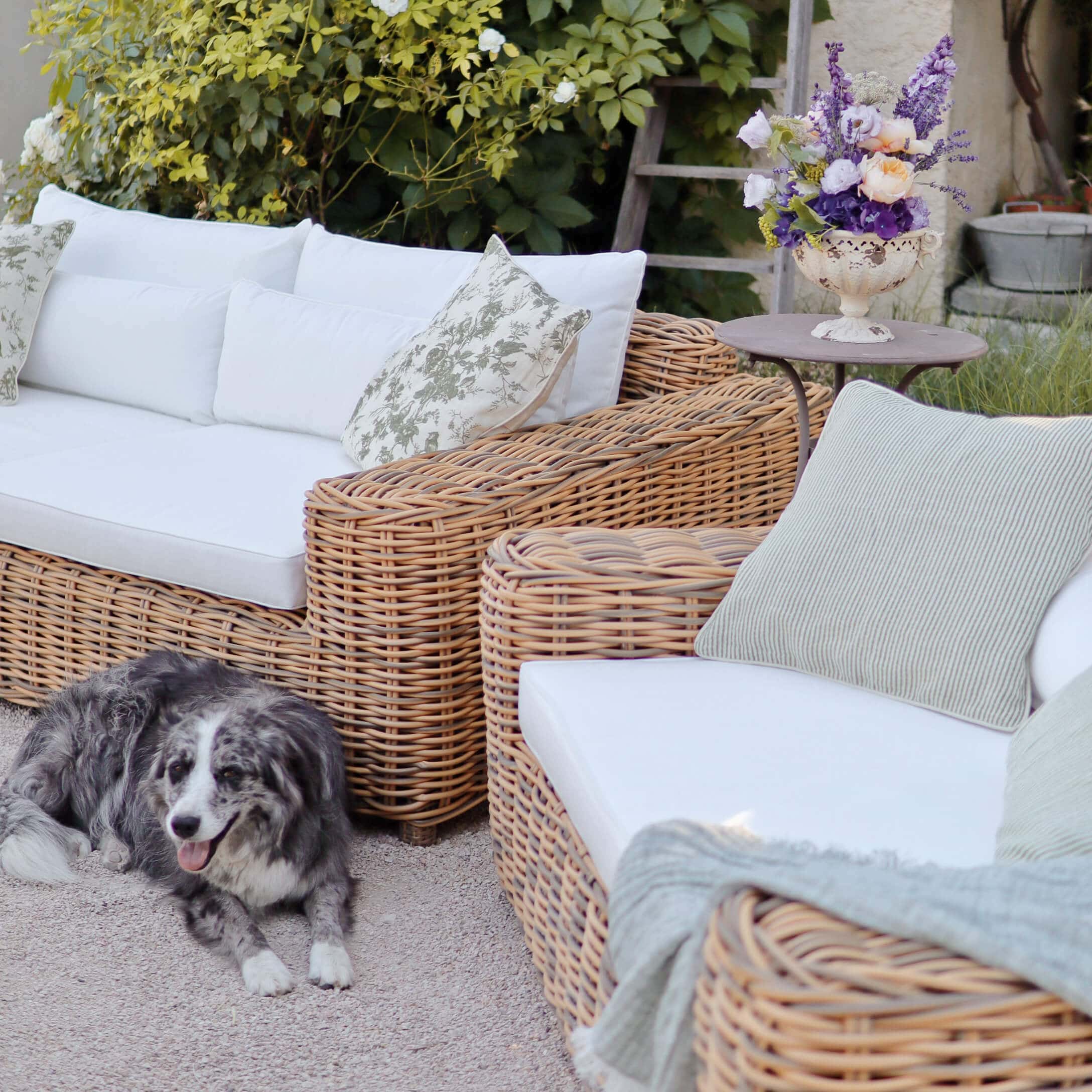 Set di mobili da giardino in rattan con cuscini bianchi e fiori sul tavolo, cane sdraiato a terra