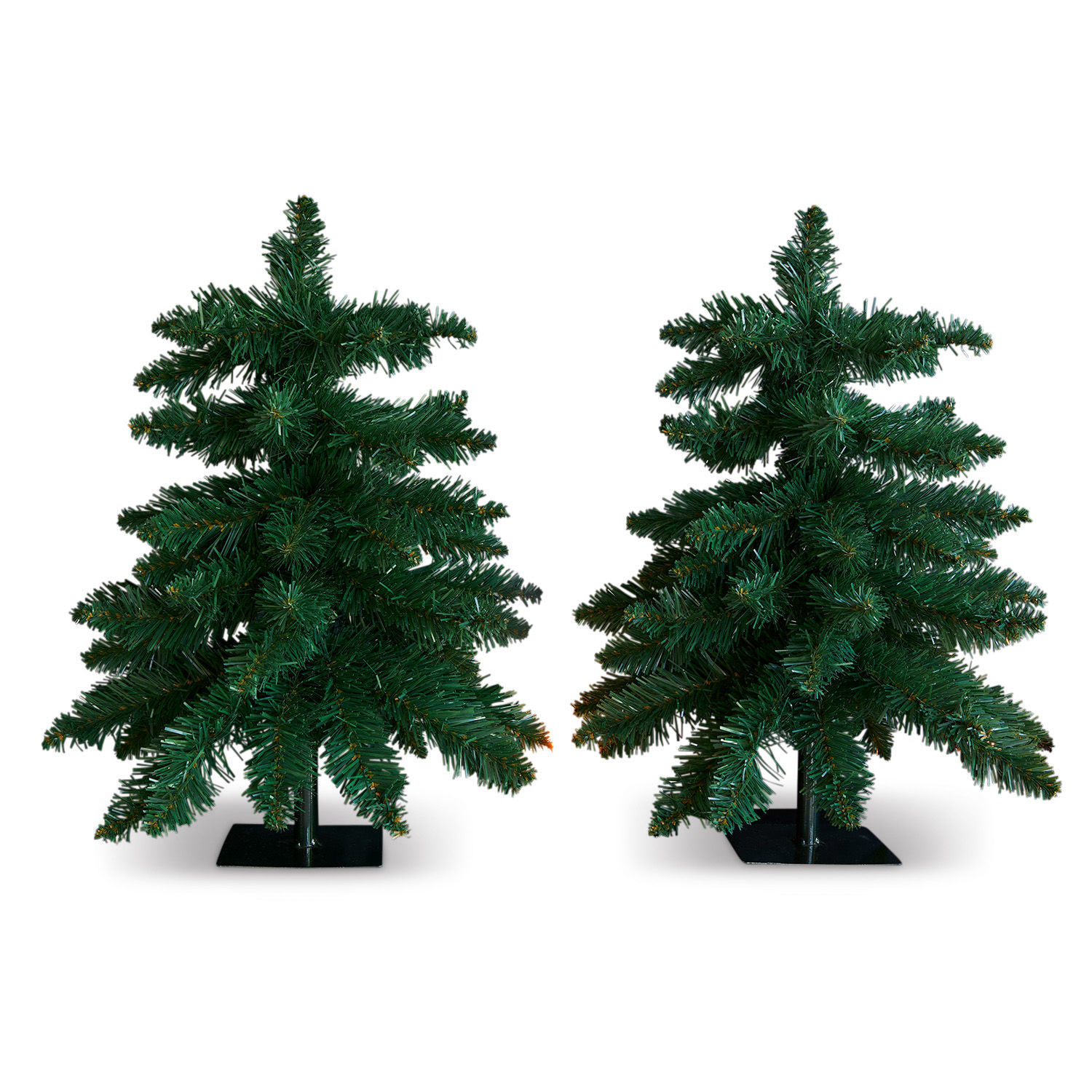 Coppia di alberelli decorativi Willroy