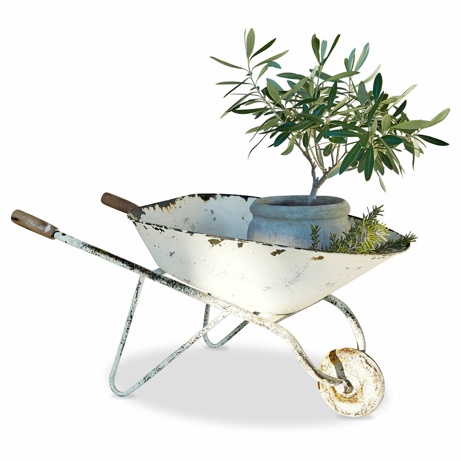 Carriola decorativa Padoux Vecchia carriola in metallo bianco con ruggine, vaso e piante verdi, decorazione da giardino