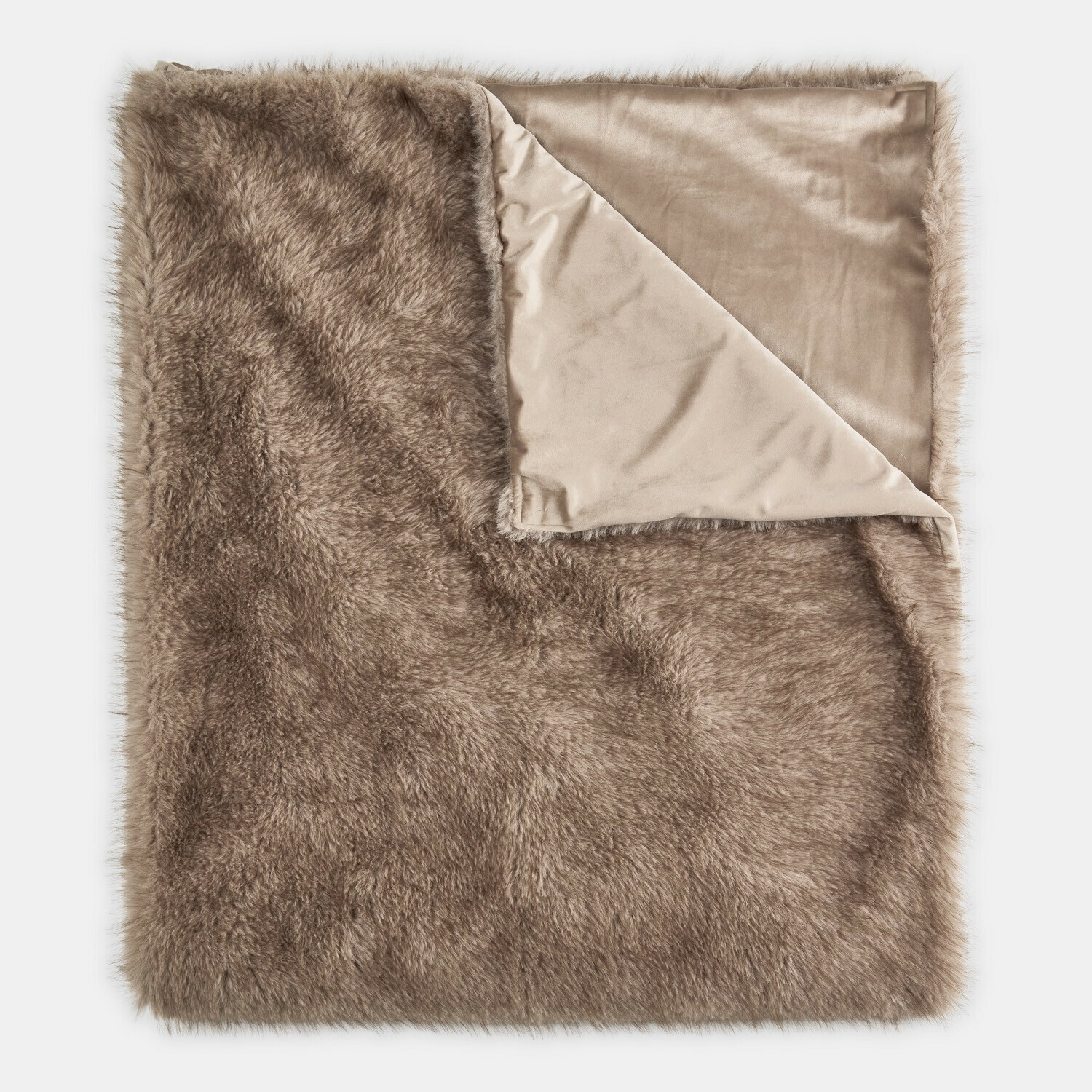 Coperta Talverno