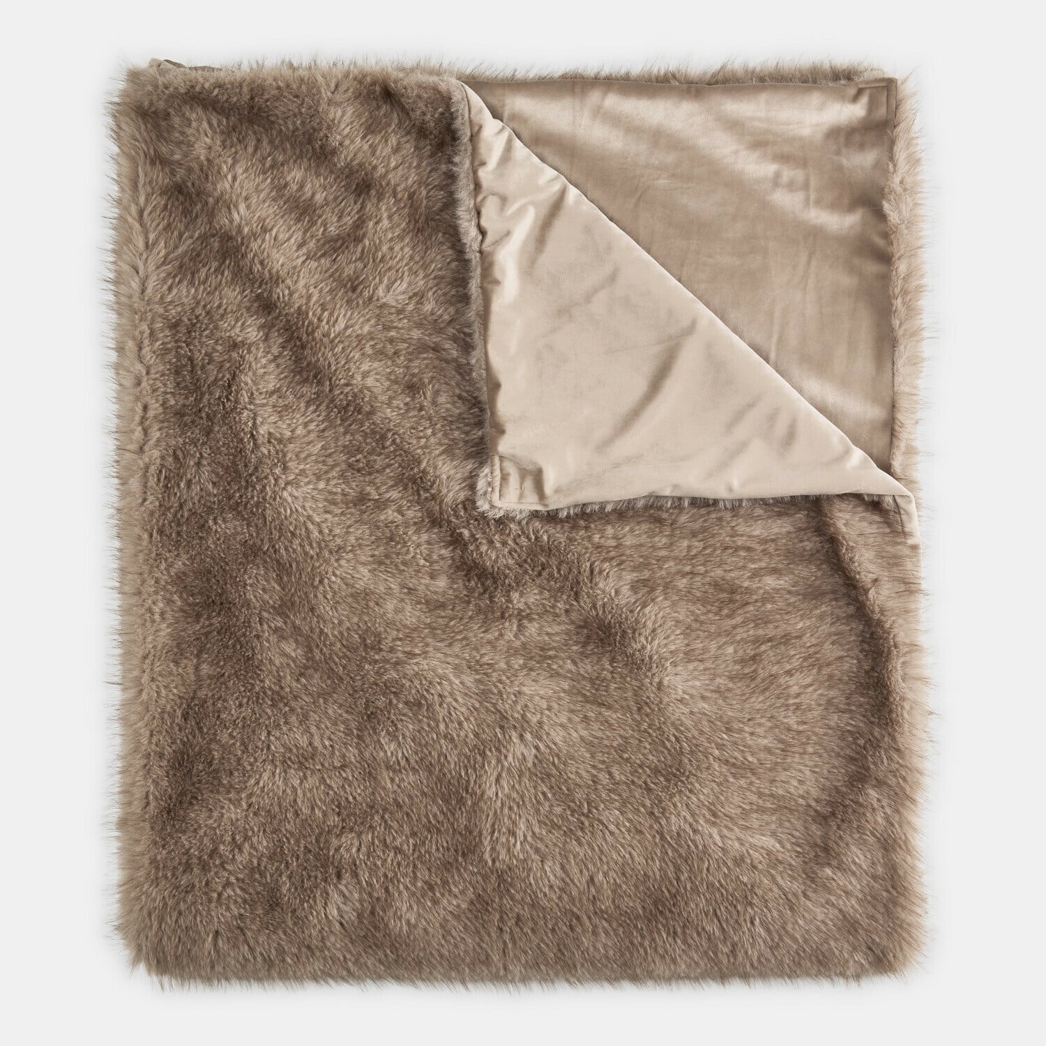 Coperta Talverno