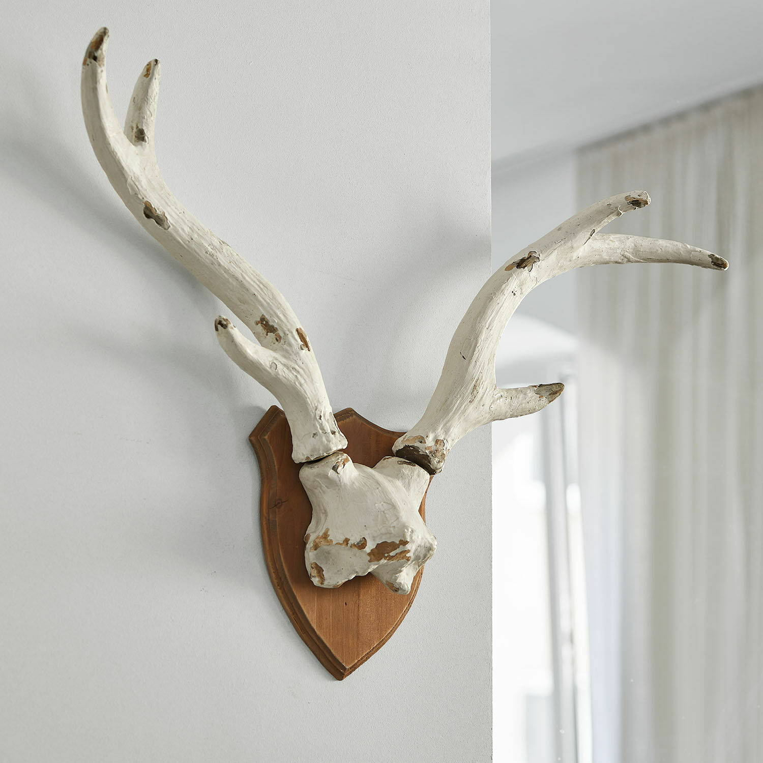 Corna di cervo decorative Talim Corna decorativa bianca su base in legno da appendere a parete, stile rustico
