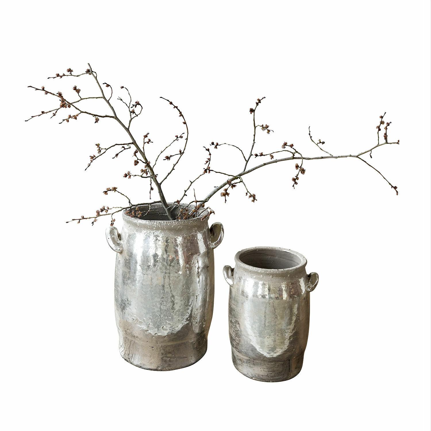 Coppia di vasi Eleganteque Due vasi in ceramica argentata con manici, uno con ramo, decorazione per interni