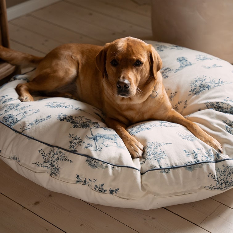 Cane marrone sdraiato su grande cuscino di cotone crema con motivo vegetale blu