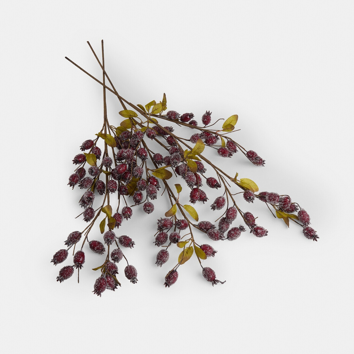 Set di 3 rami decorativi con cinorrodi Buttonbush