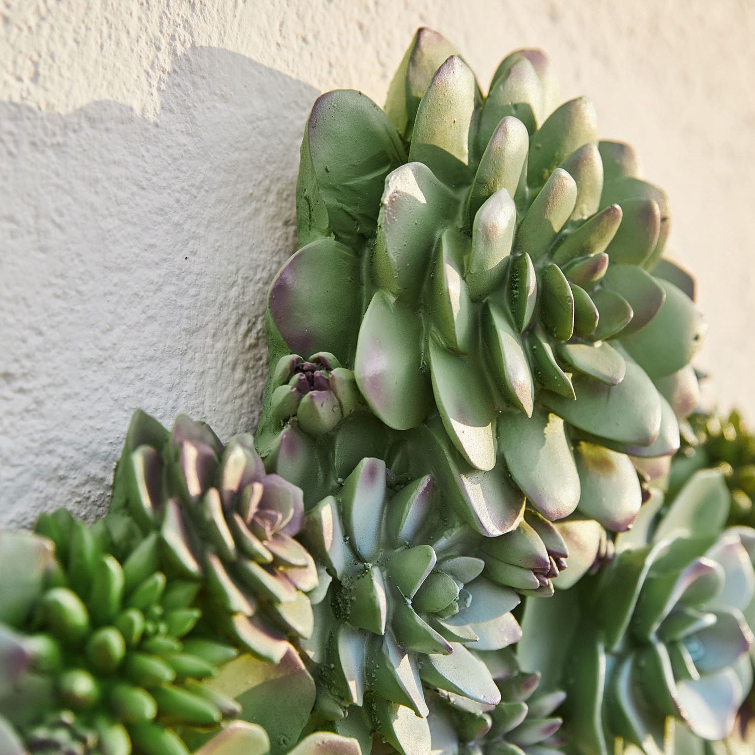 Pianta decorativa Fema