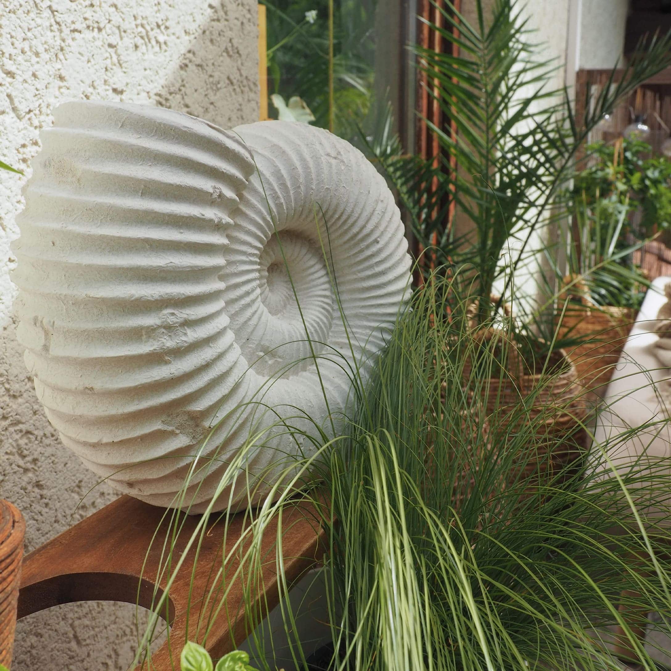 Decorazione bianca in pietra a forma di conchiglia su mensola in legno con piante verdi