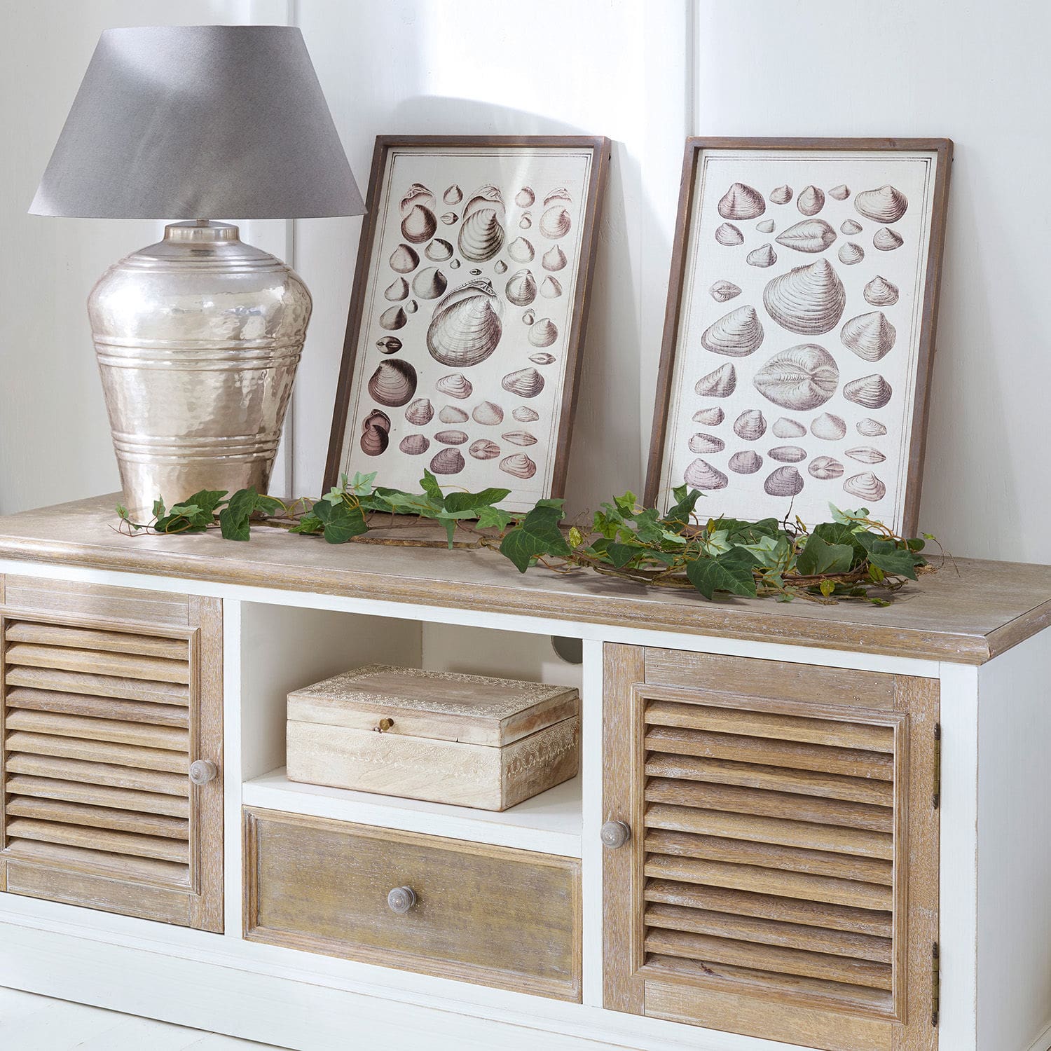 Coppia di rampicanti decorativi Plaisance