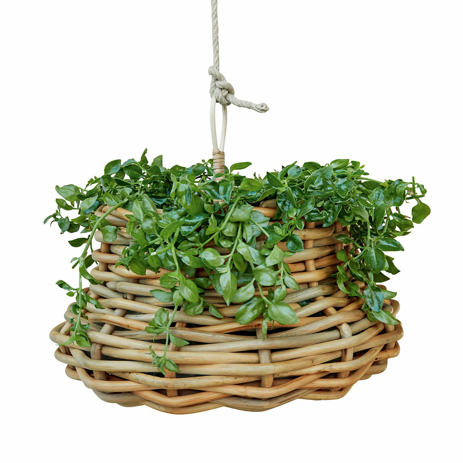 Cesto da appendere Villaz Cesto sospeso in vimini naturale con foglie verdi, decorazione per casa e giardino