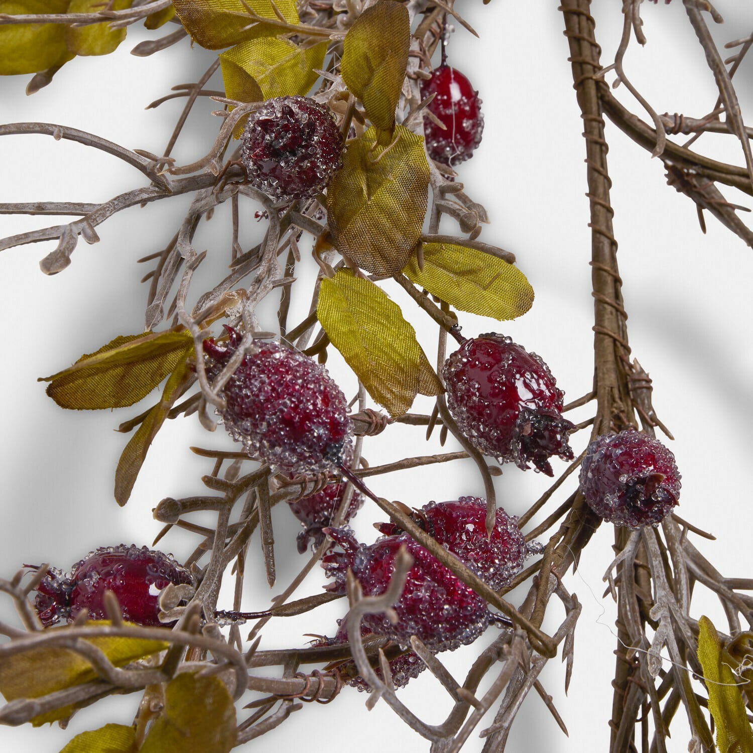 Festone Buttonbush