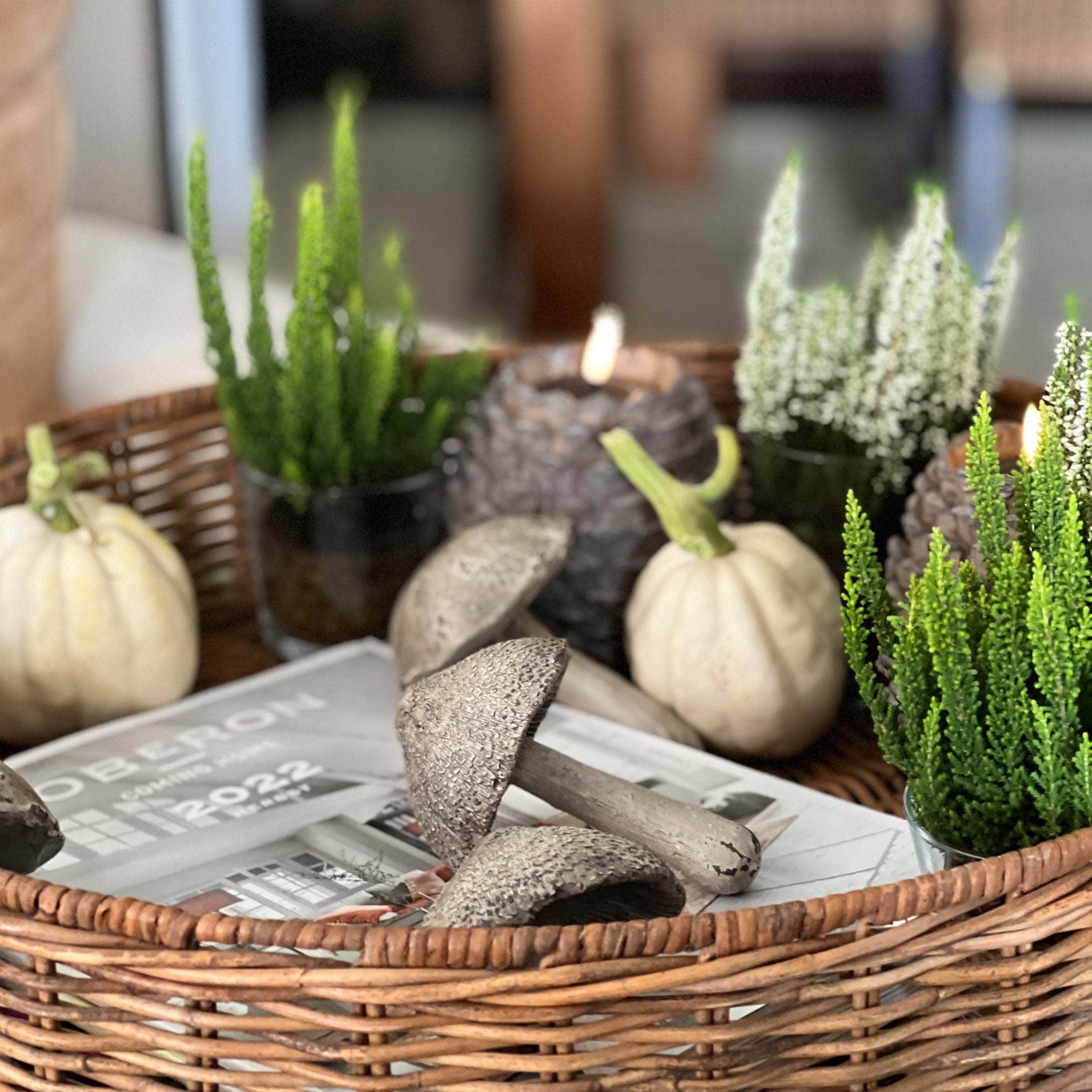 Cesto decorativo con zucche bianche, piante verdi e funghi decorativi su tavolo
