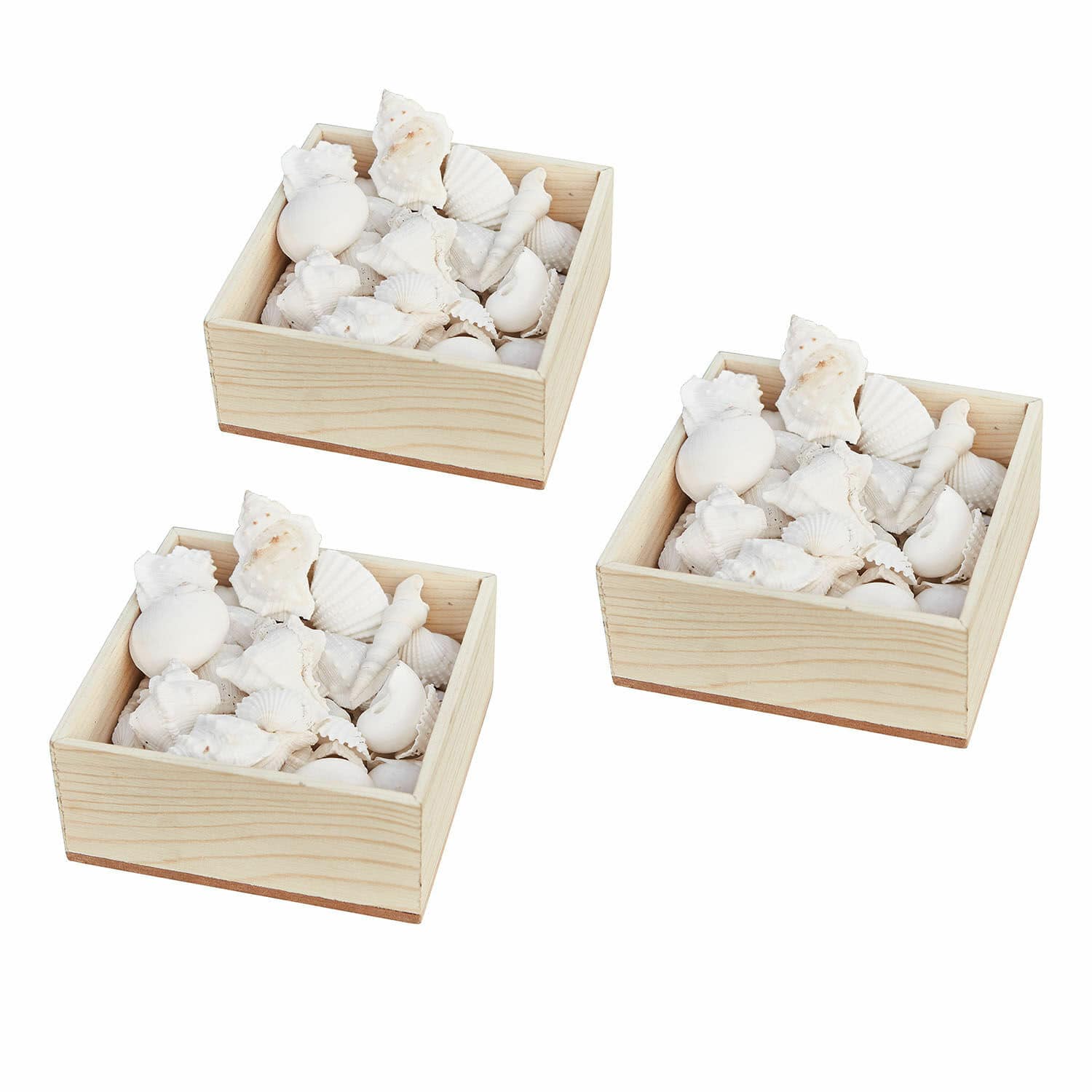 Set di 3 cassette con conchiglie decorative Ditos