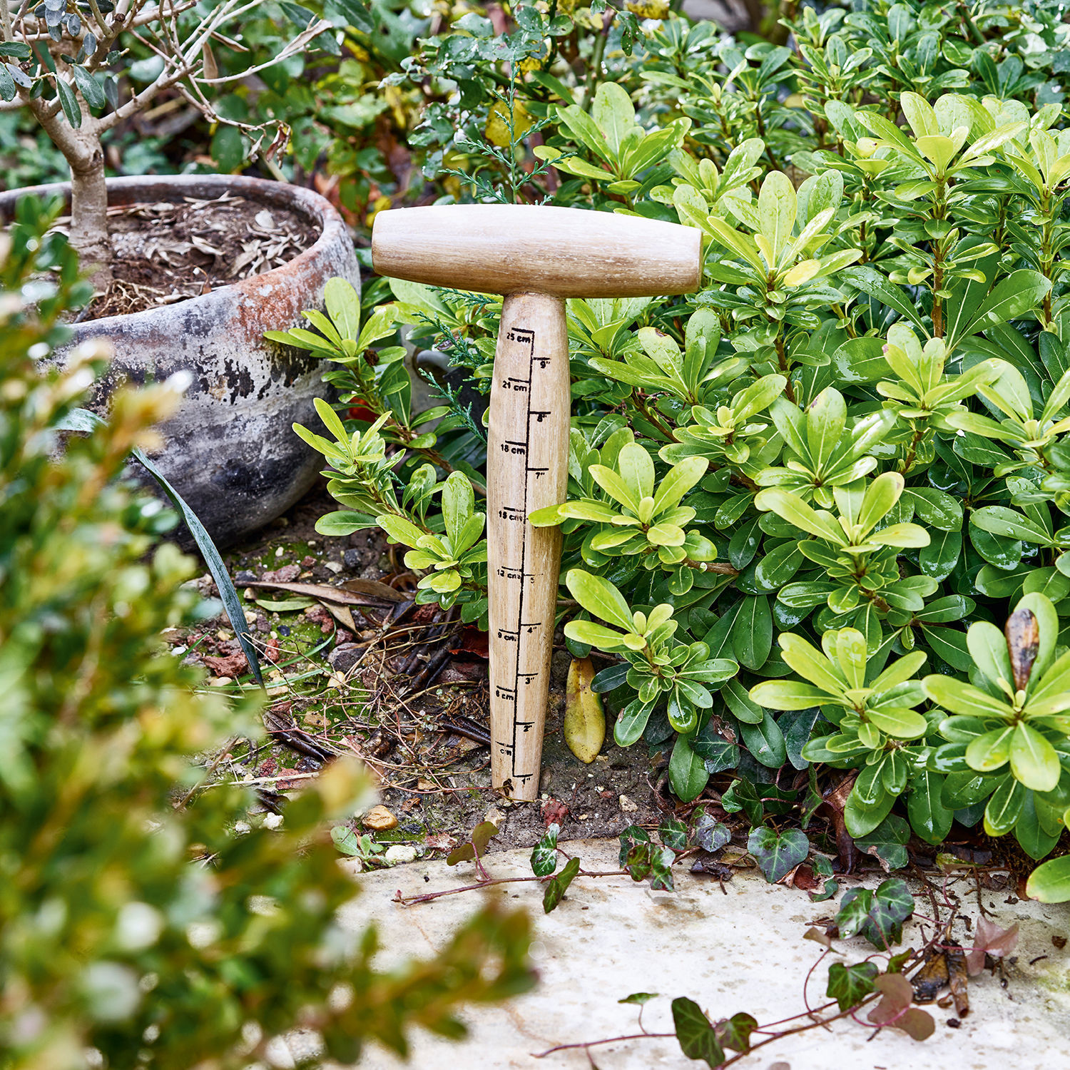 Piolo in legno per giardinaggio Esparron
