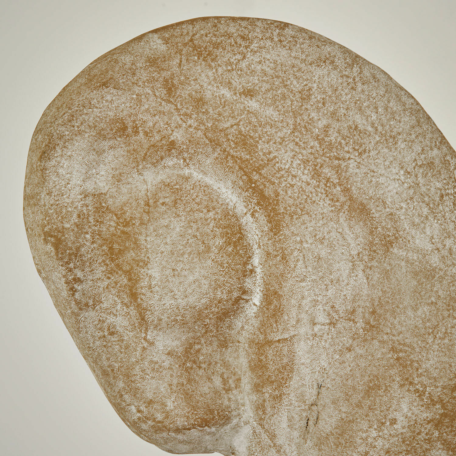 Cavallo decorativo Vionello