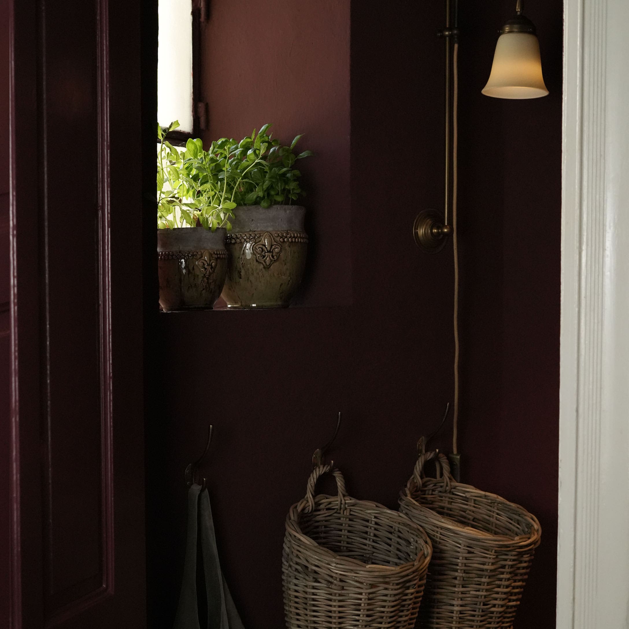Due fioriere in ceramica con piante verdi su parete bordeaux e lampada da parete con paralume opaco