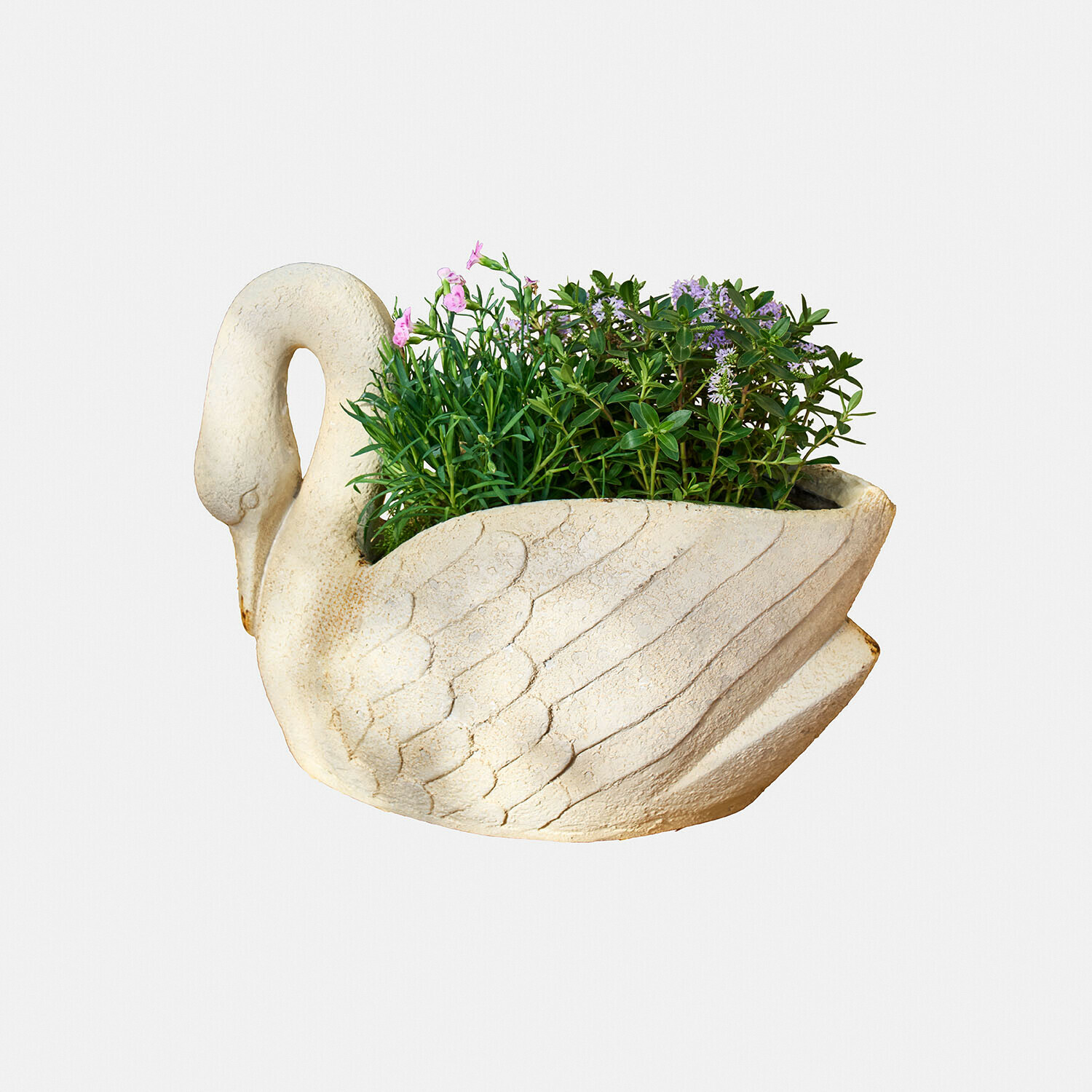 Portavaso Belmarie