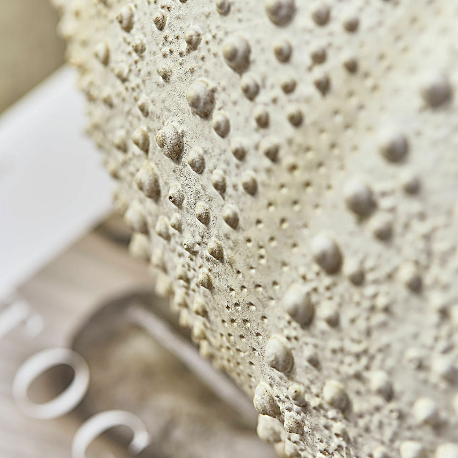 Coppia di ricci di mare decorativi Kimbar