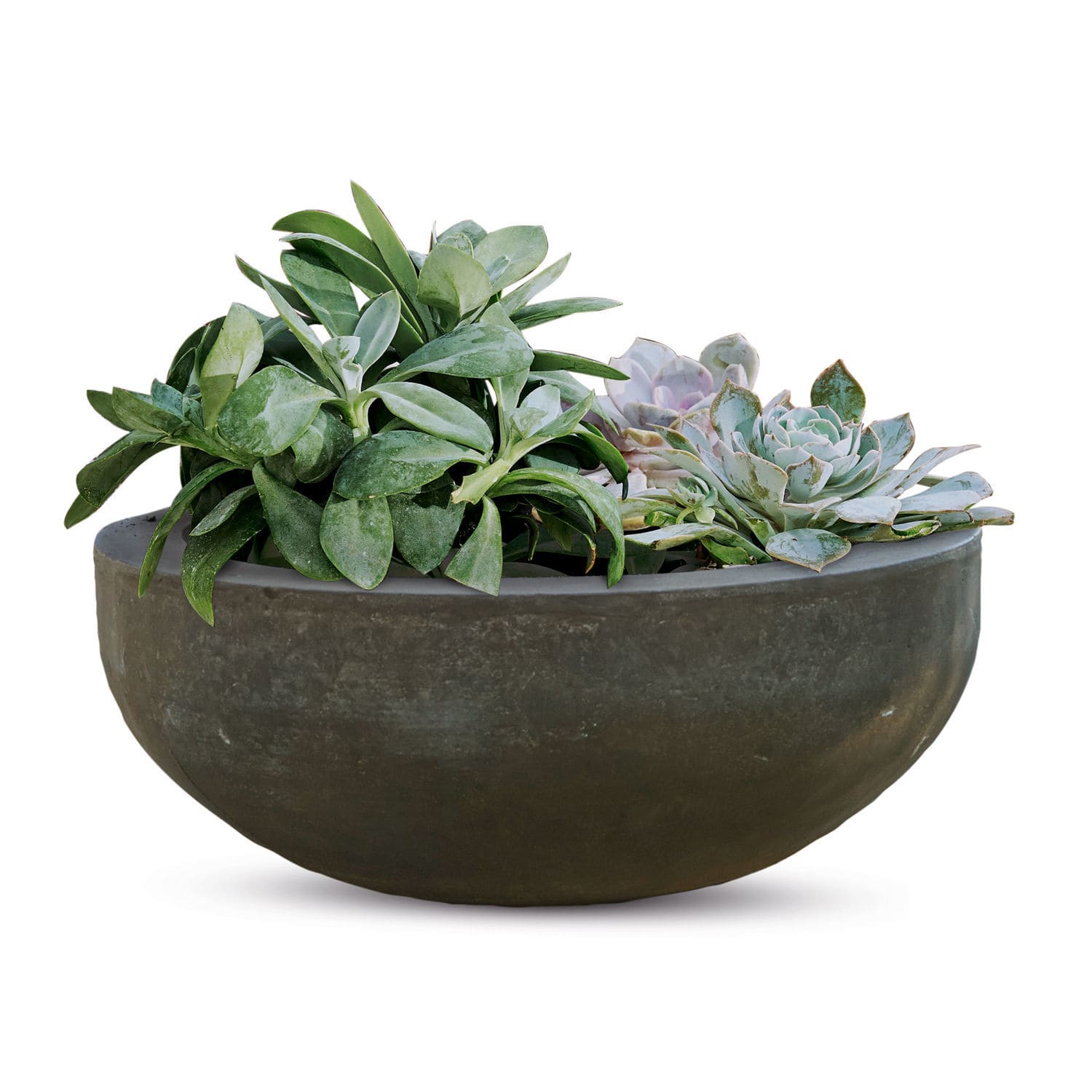 Vaso a ciotola Xenia