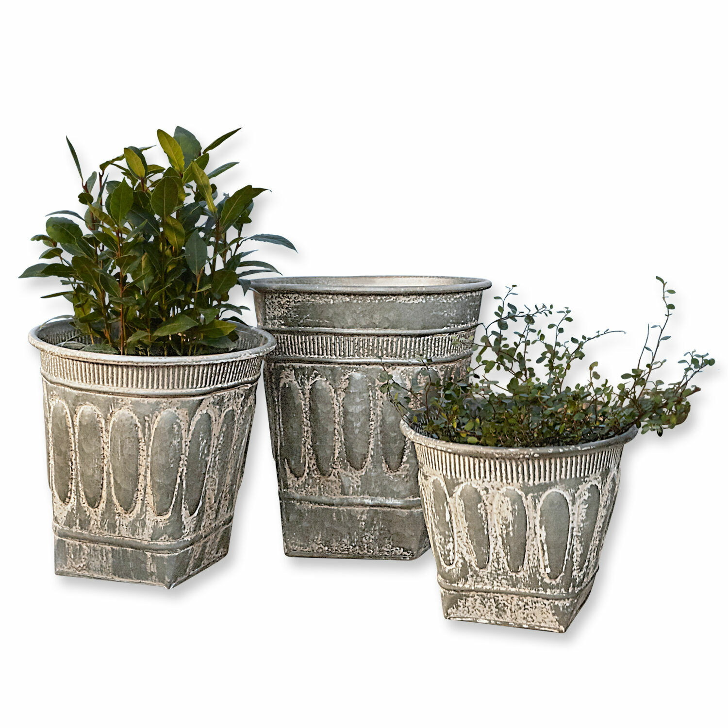 Set di 3 portavasi Bakersfield Set di tre vasi decorativi in metallo grigio con piante per decorazione da giardino
