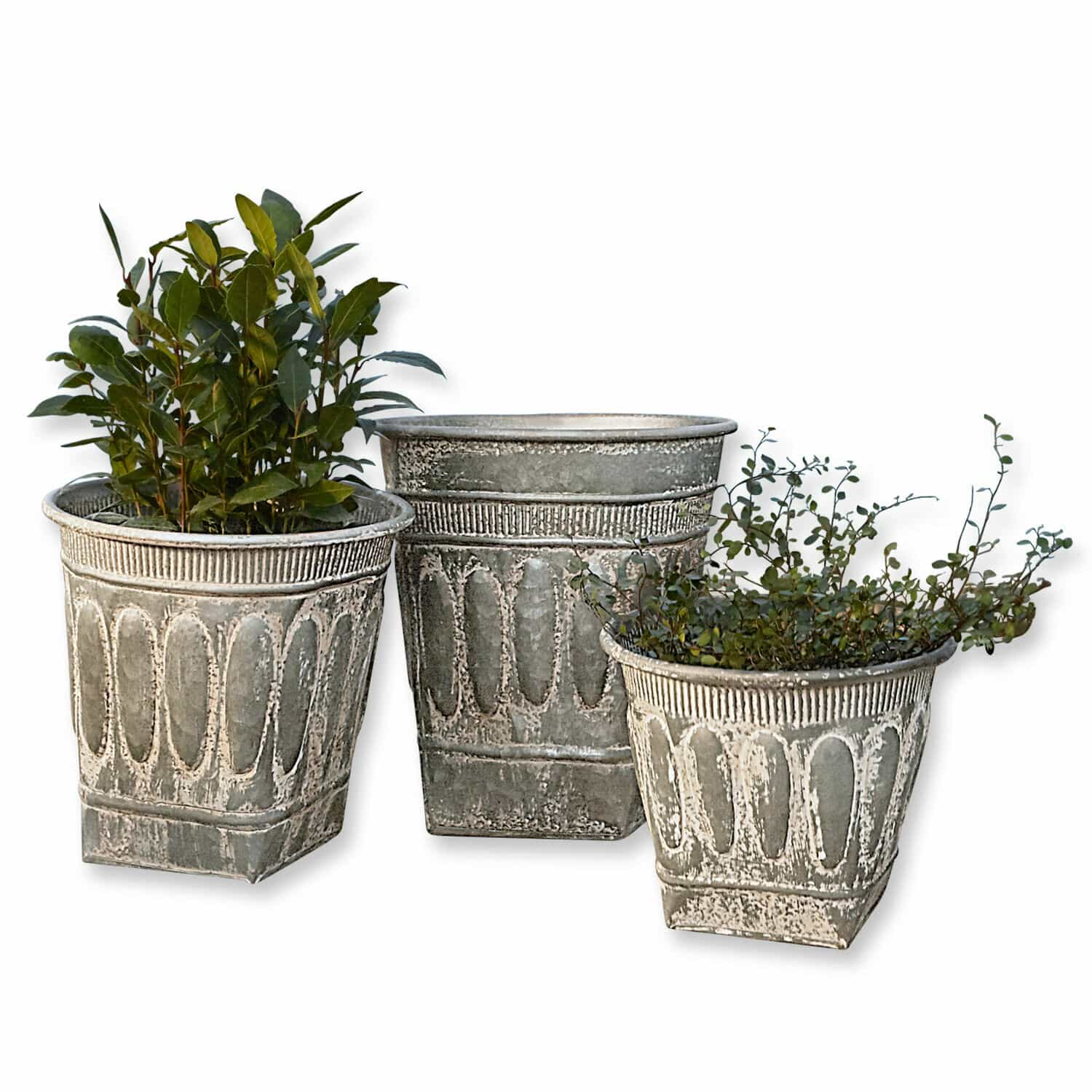 Set di 3 portavasi Bakersfield Set di tre vasi decorativi in metallo grigio con piante per decorazione da giardino